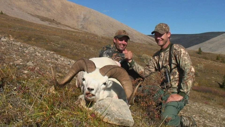 rackranchtrophyhuntssheep4.JPG