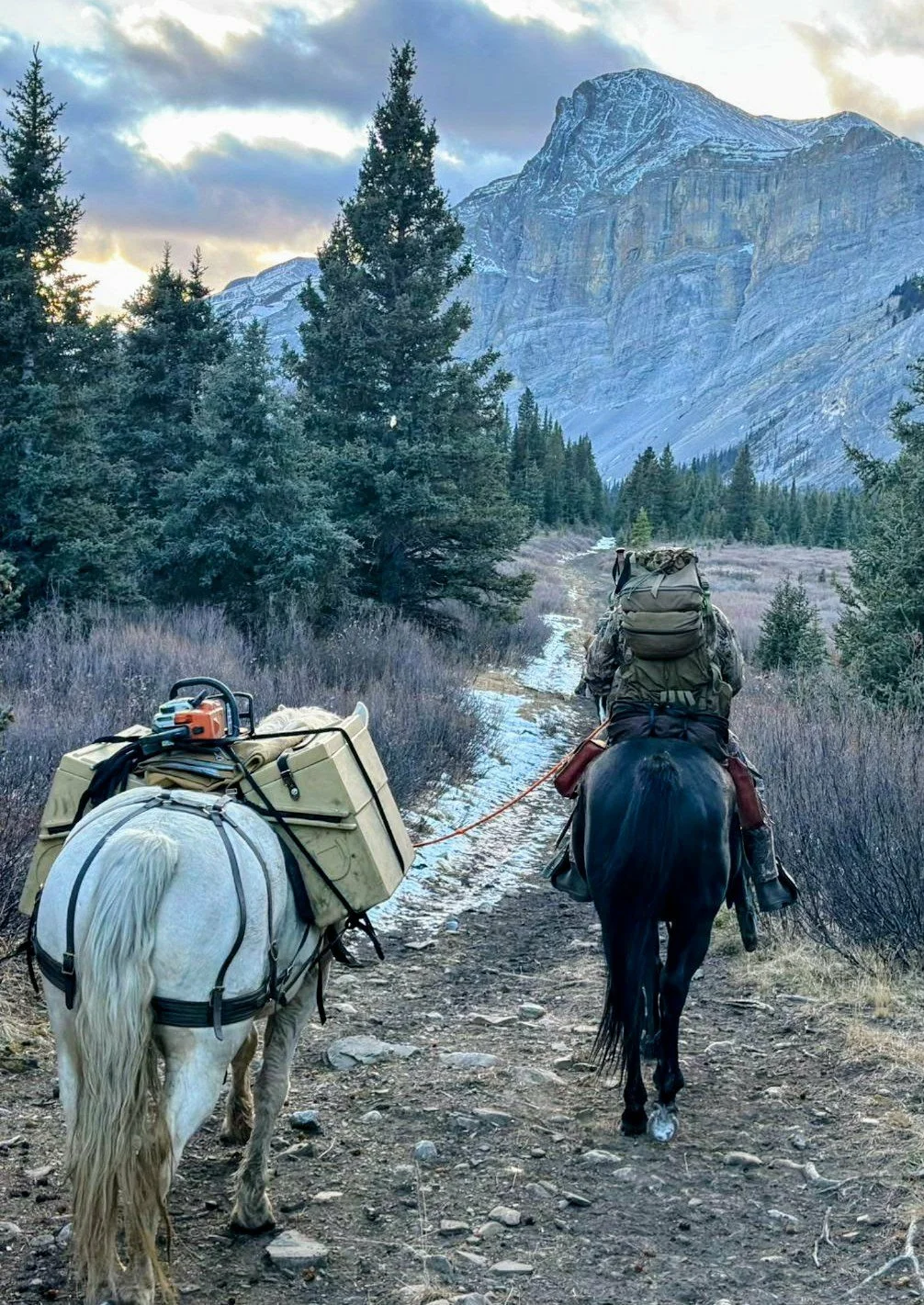 rackranchtrophyhunts100.JPG