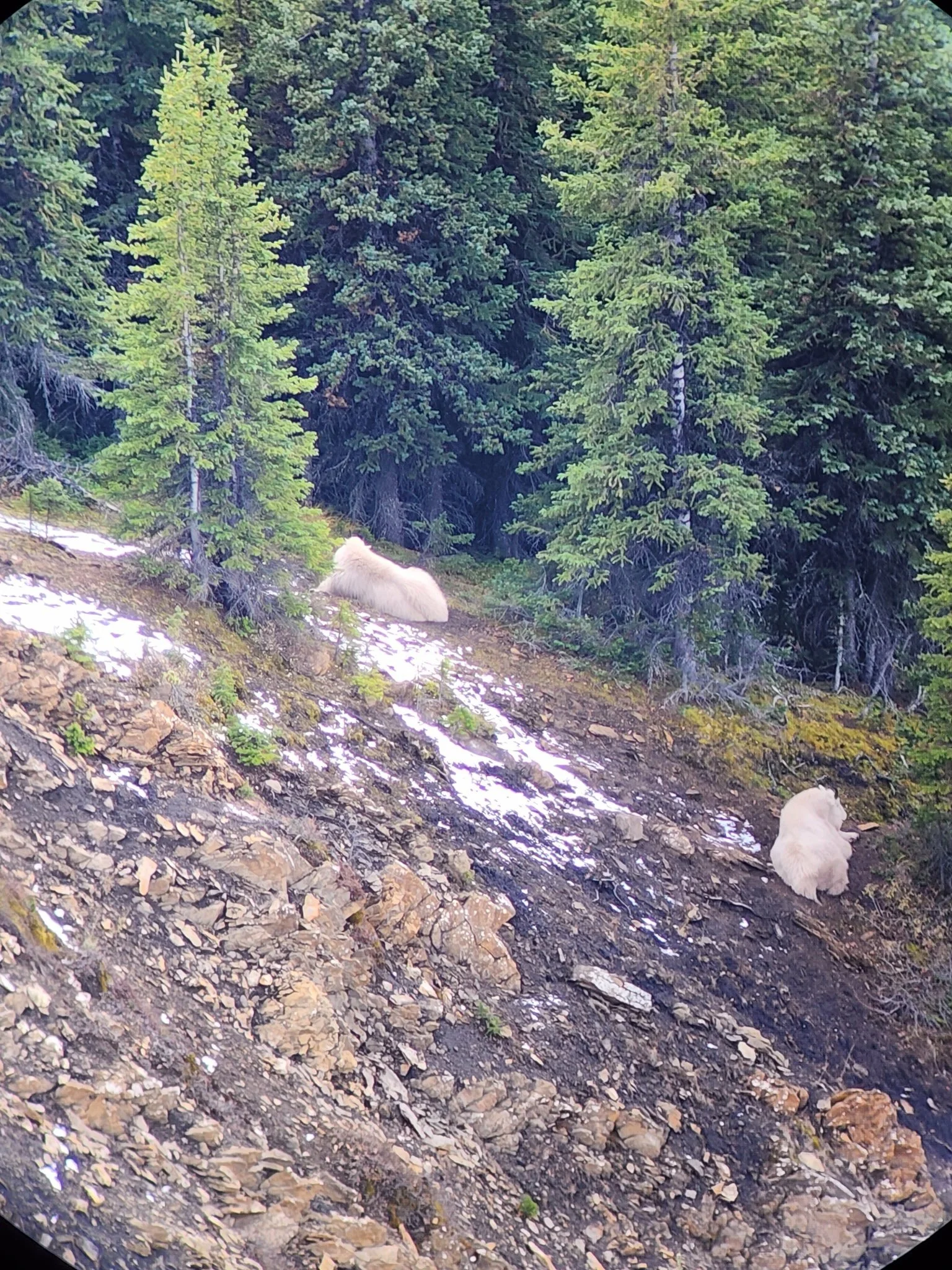 rackranchtrophyhunts88.JPG