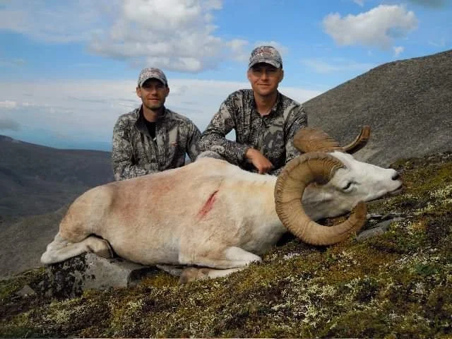 rackranchtrophyhuntssheep1.JPG