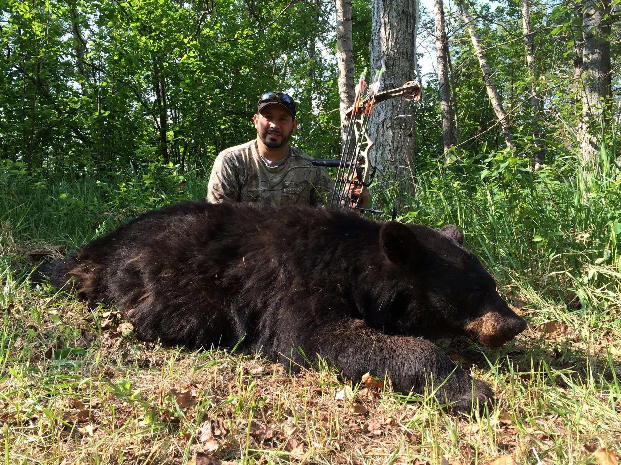 BLACK BEAR