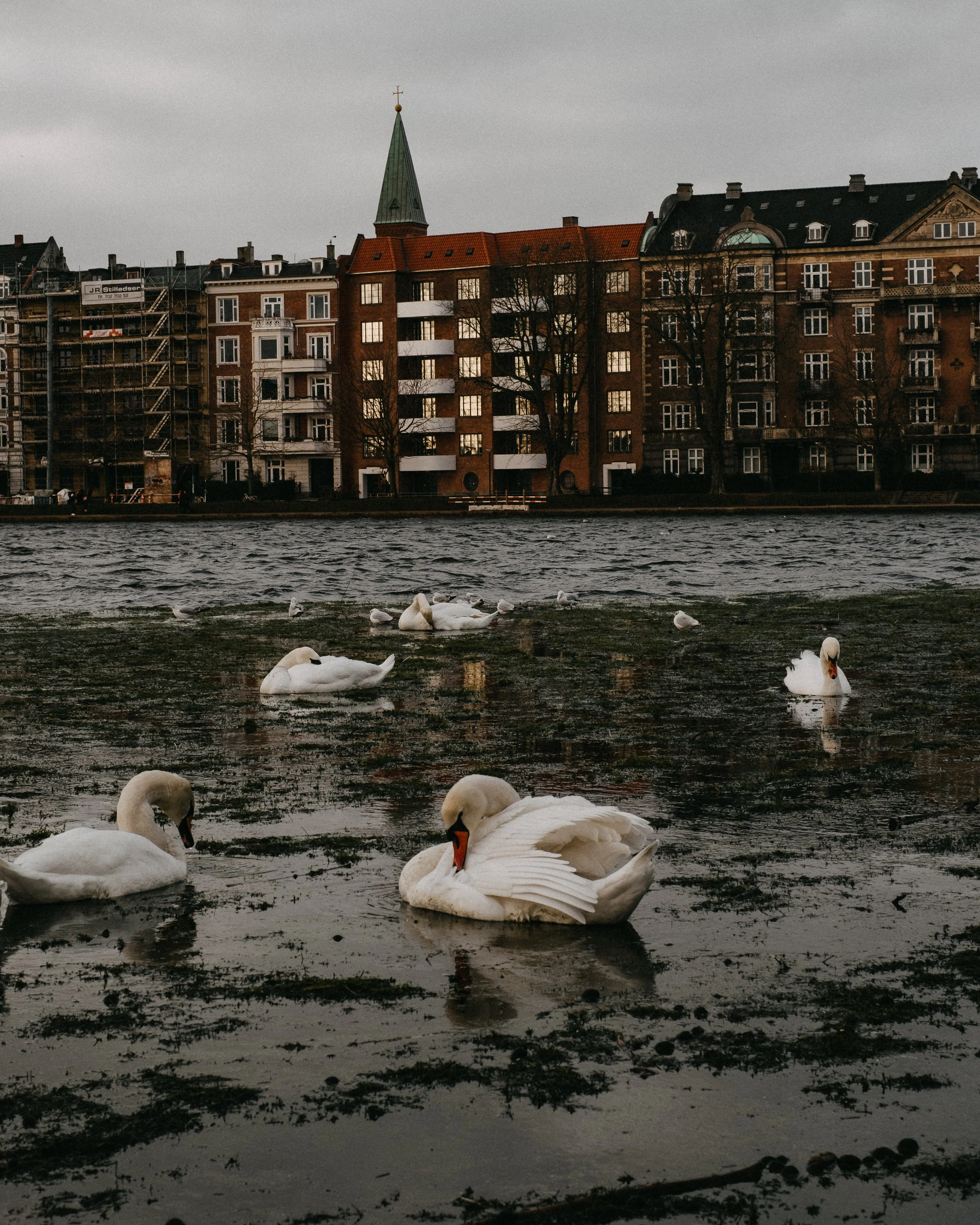 architecture in Copenhagen