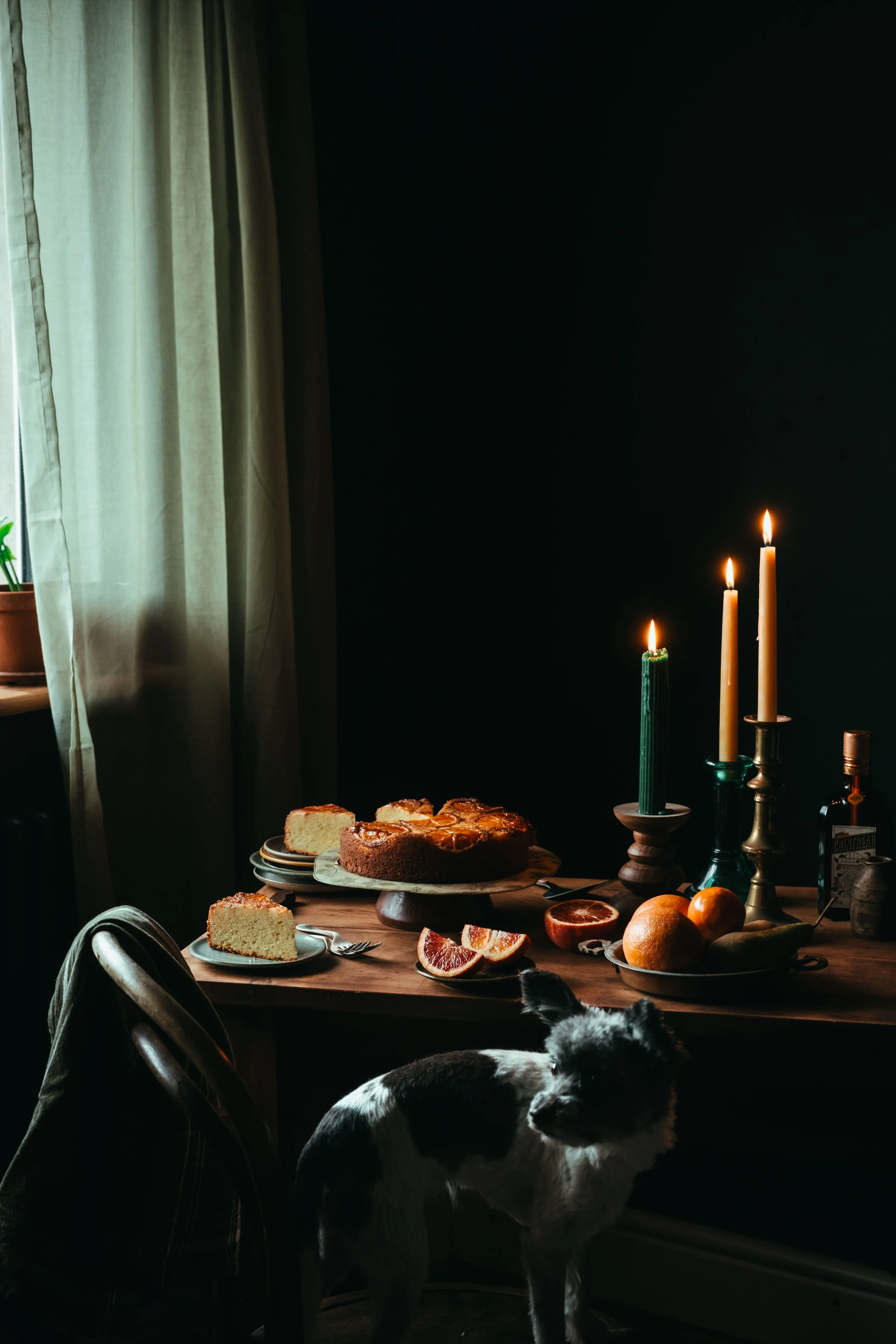 case-study-doves-farm-blood-orange-cake-26.jpg