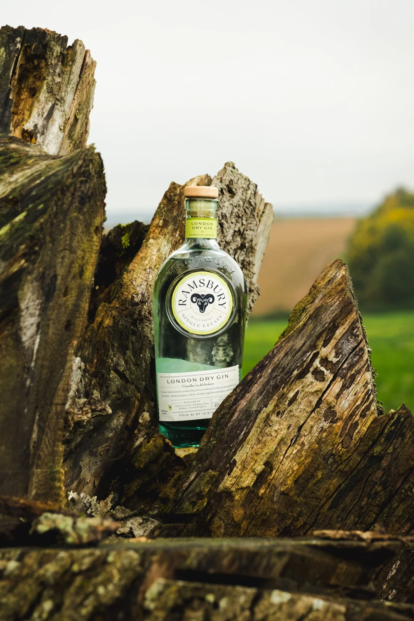 Ramsbury - SM-31.jpg