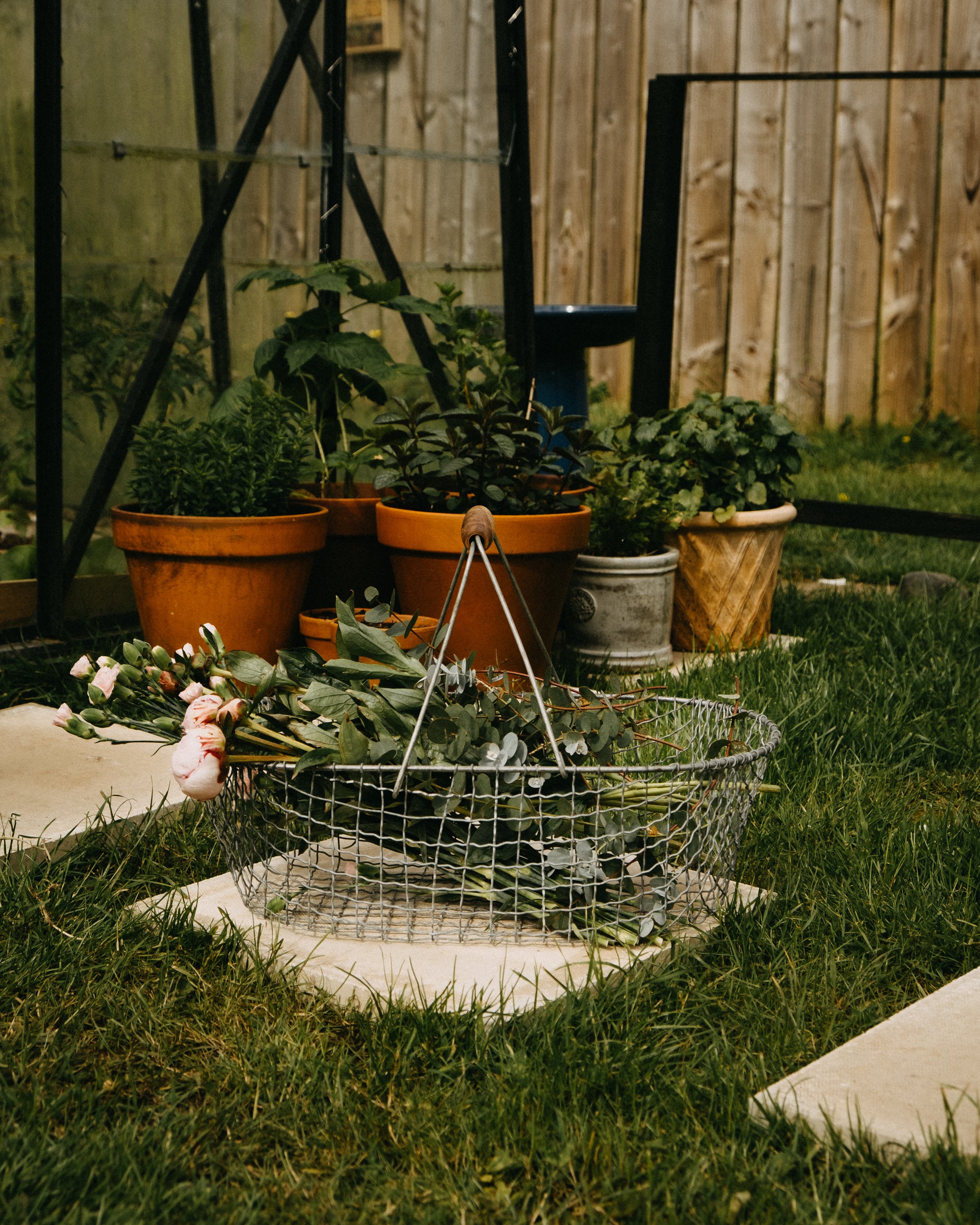 English cottage garden, vintage wire basket, potted garden: how I started to transform a patch of grass in a dreamy cottage garden.
One sunny day at the beginning of May I received an e-mail with very distressing news... so I took a trip to the gard