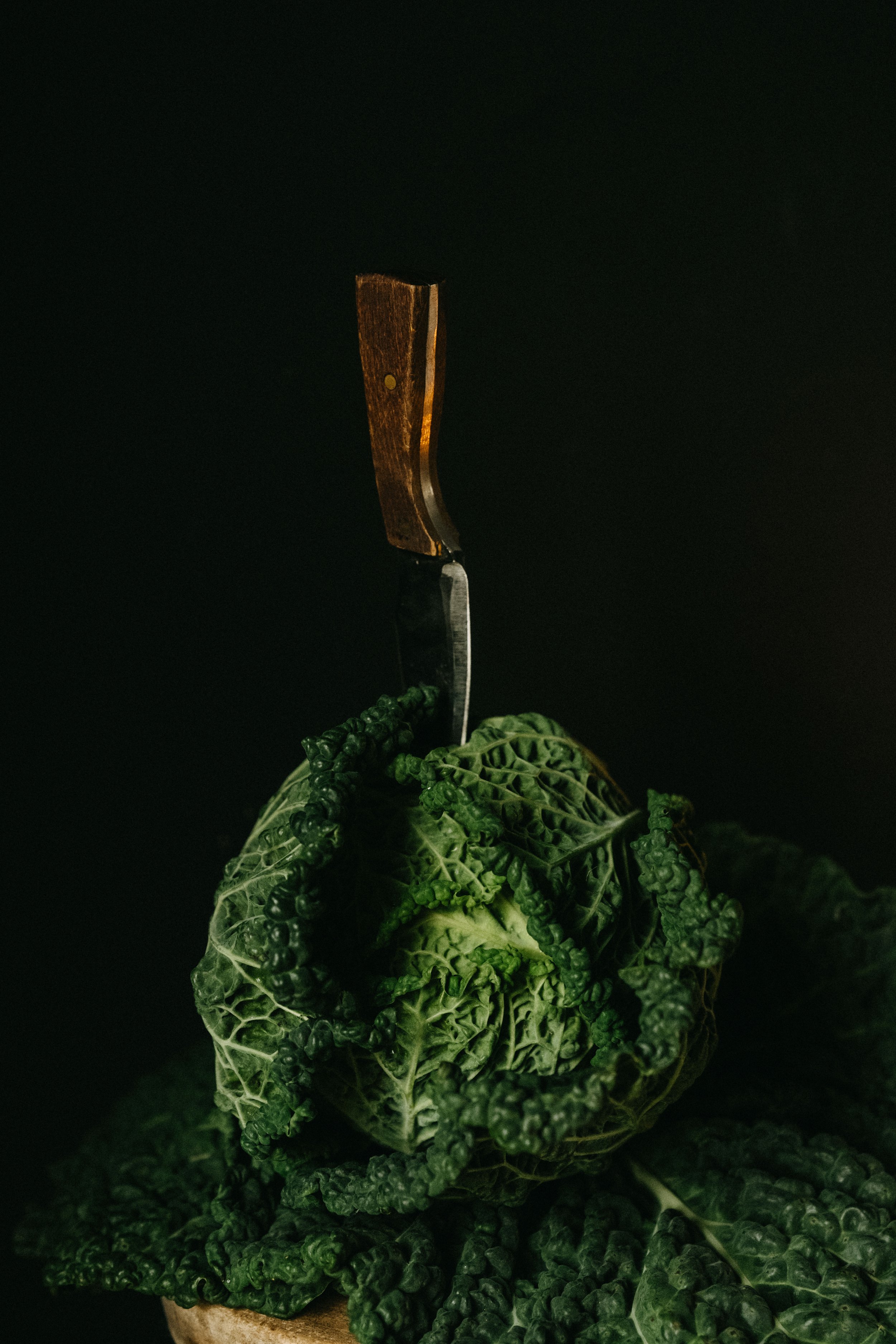 Harvest-october24-39.jpg