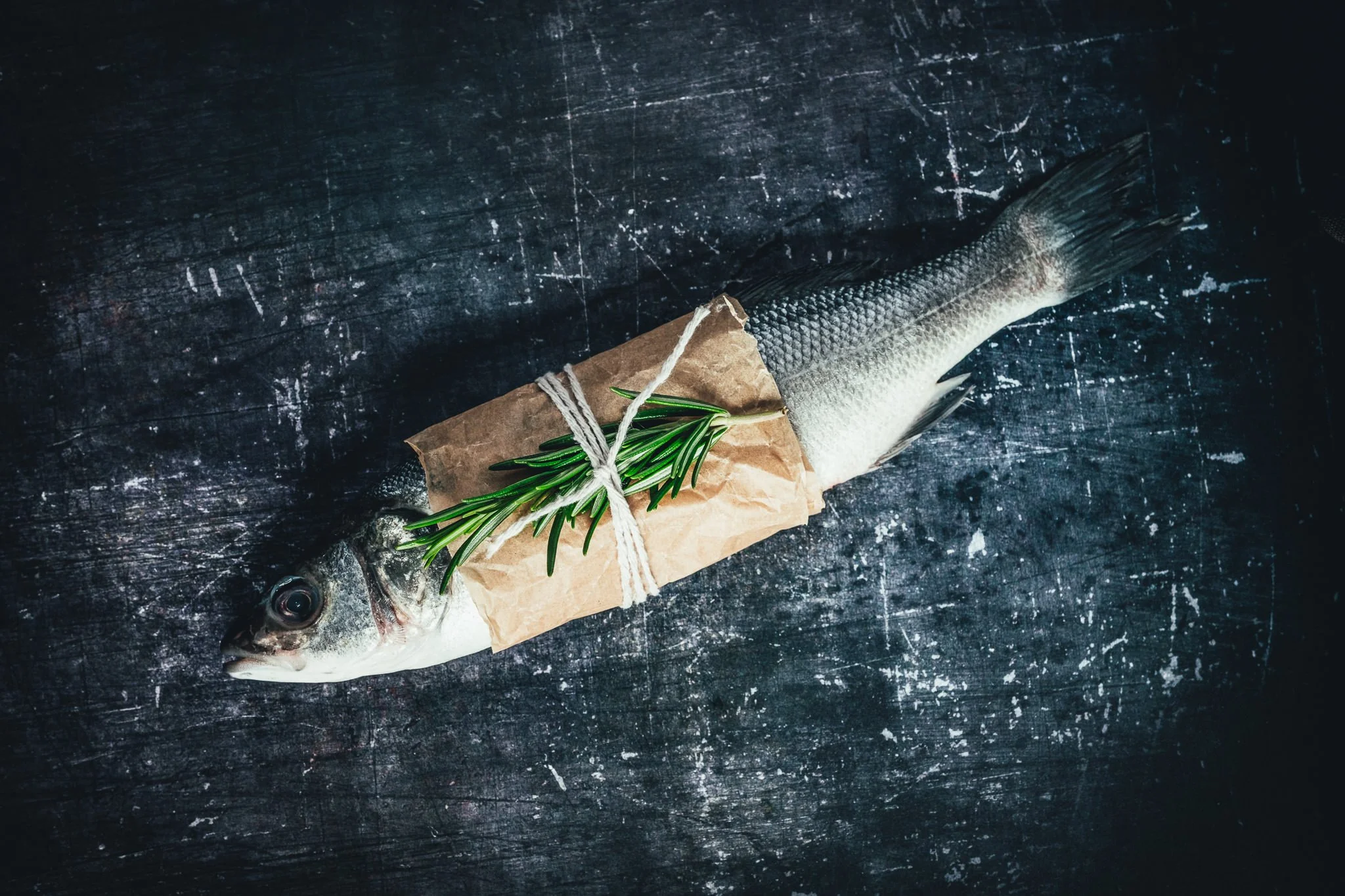 a study on fish -55.jpg
