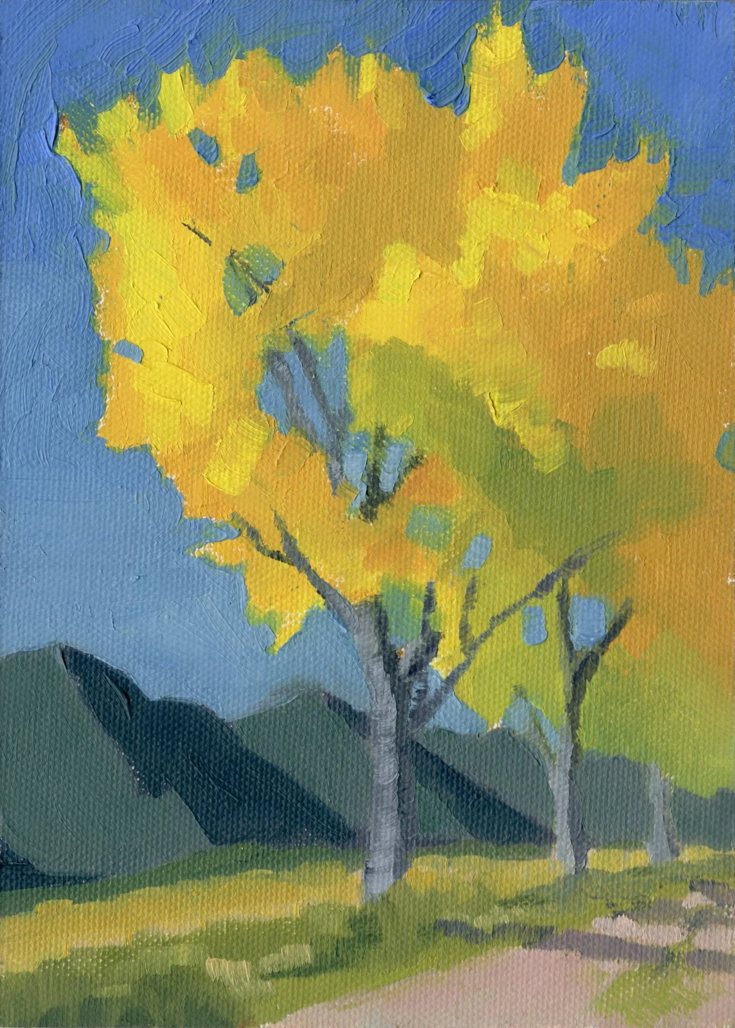 Cottonwoods. Oil on canvas panel. 7x5 inches.