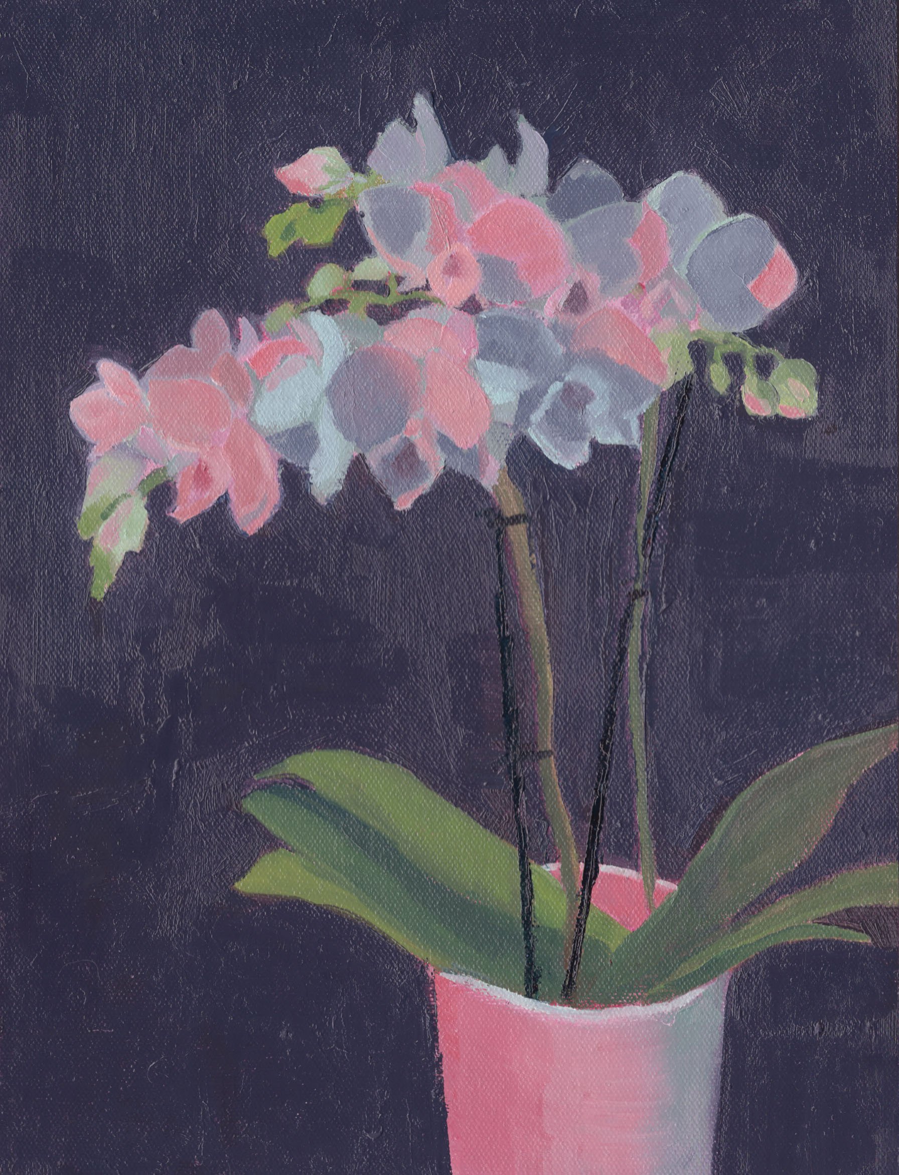 White orchid. Oil on canvas panel. 12x9 inches. 