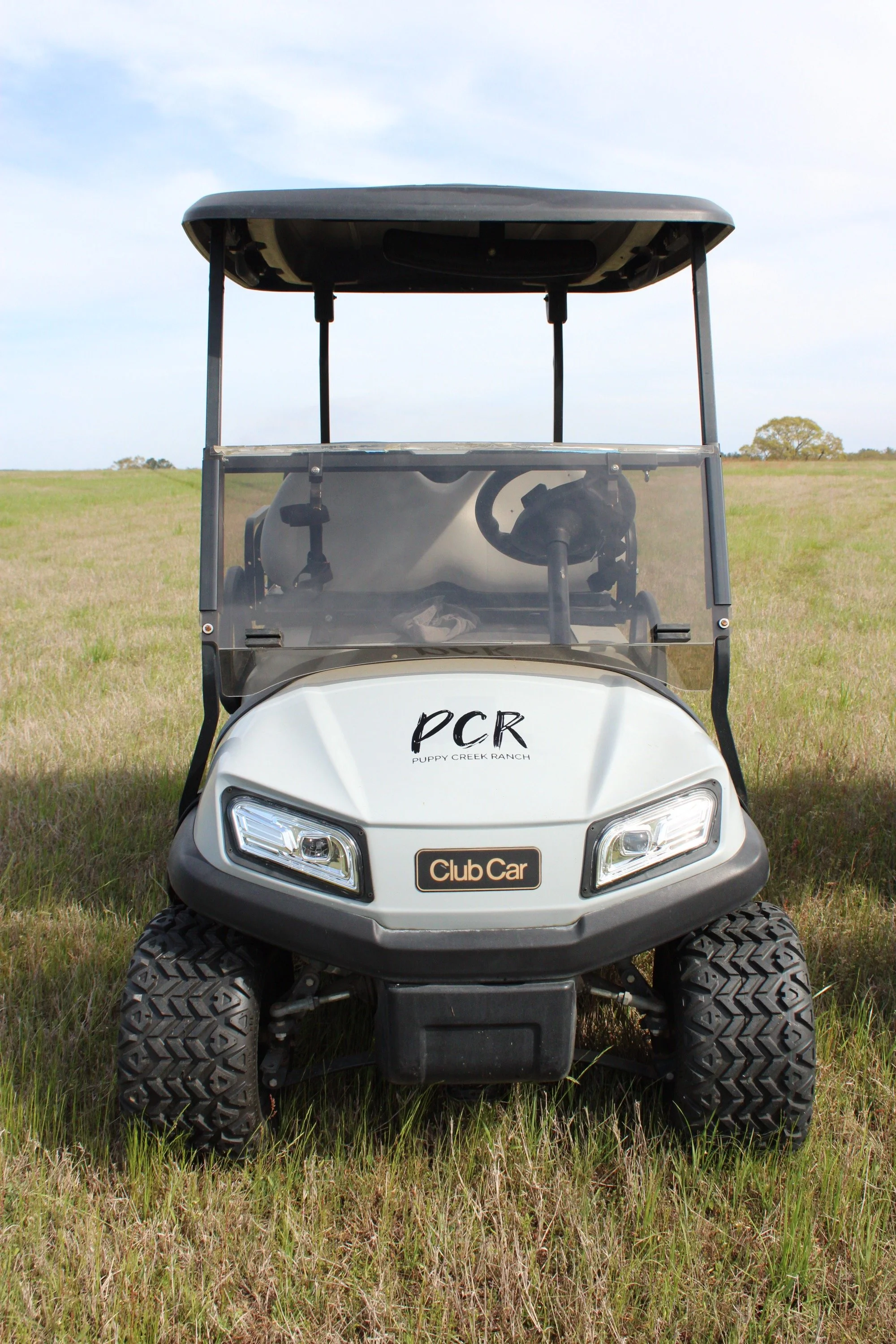 Cart Rental