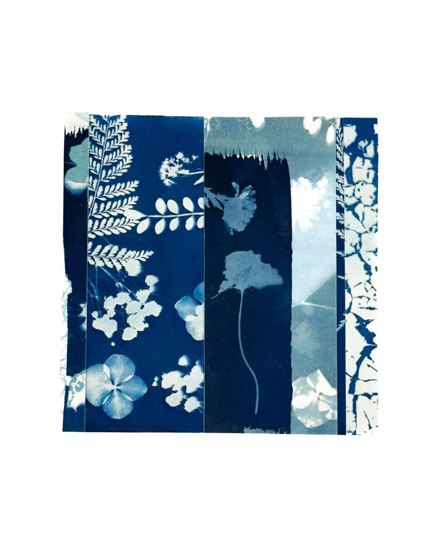 Blue Botanica No. 15