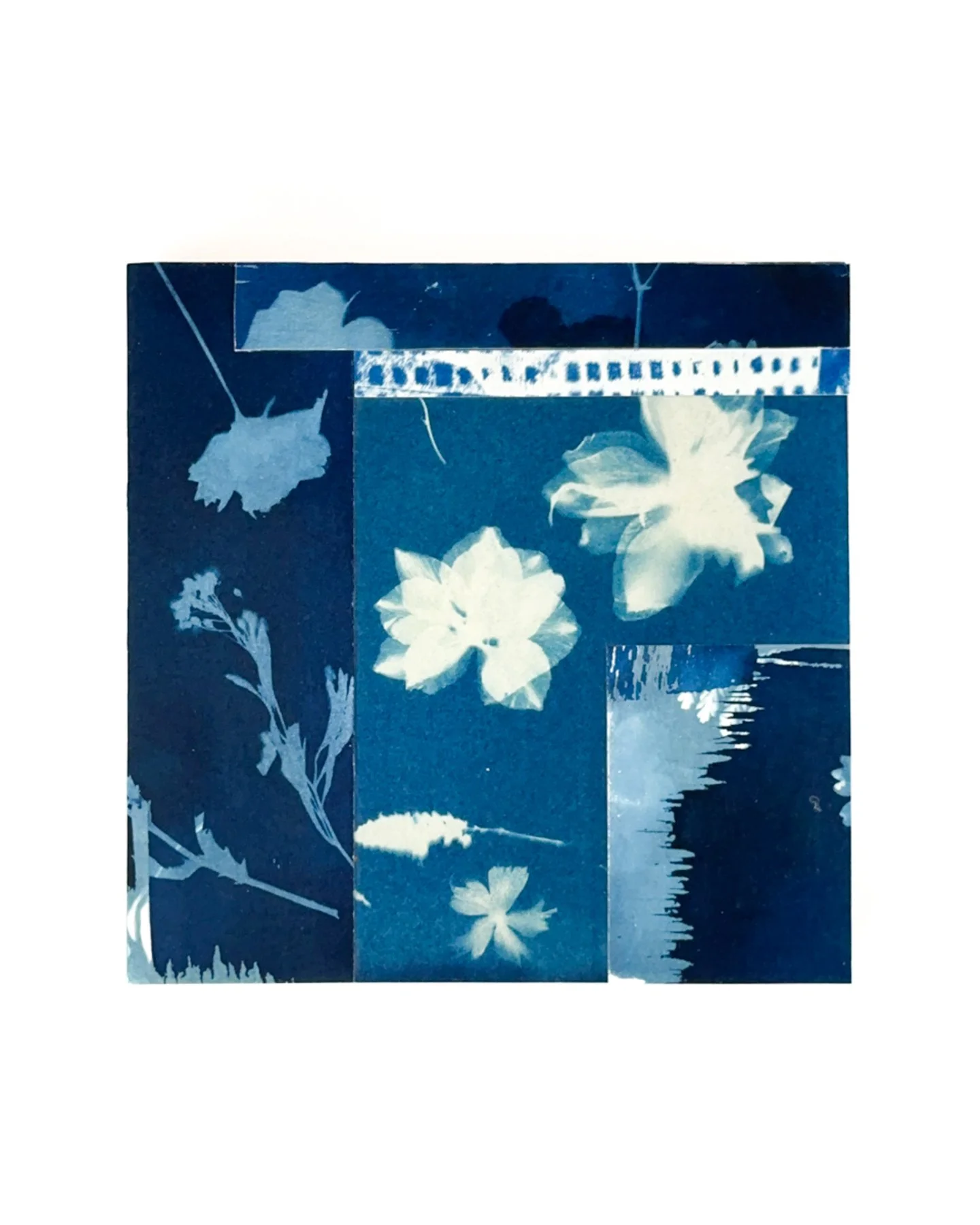 Blue Botanica No. 09