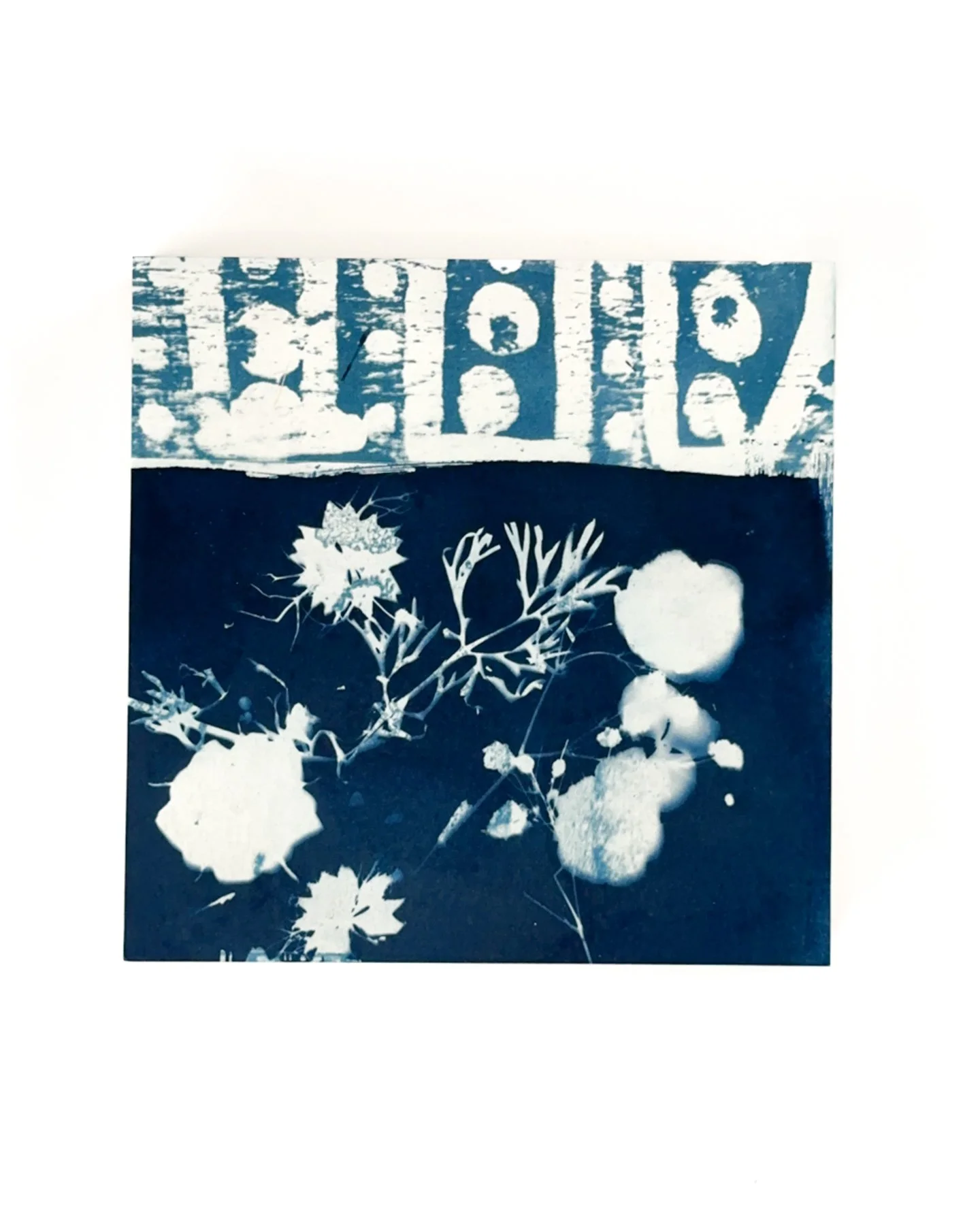 Blue Botanica No. 20