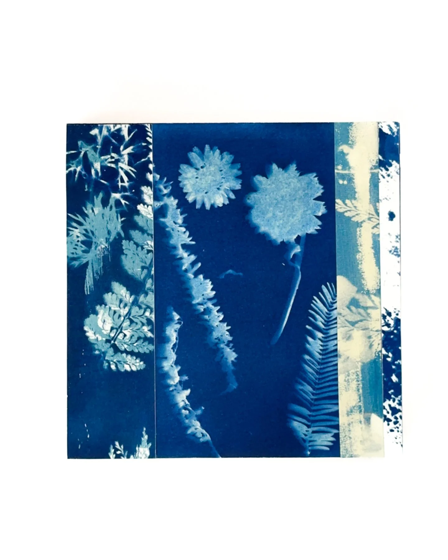 Blue Botanica No. 12