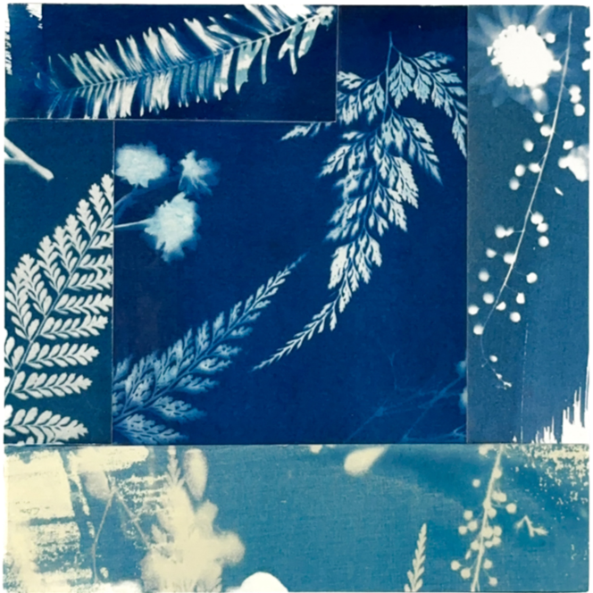 Close-up of a collage of botanical illustrations on blue paper, featuring fern leaves, delicate branches, and floral elements.