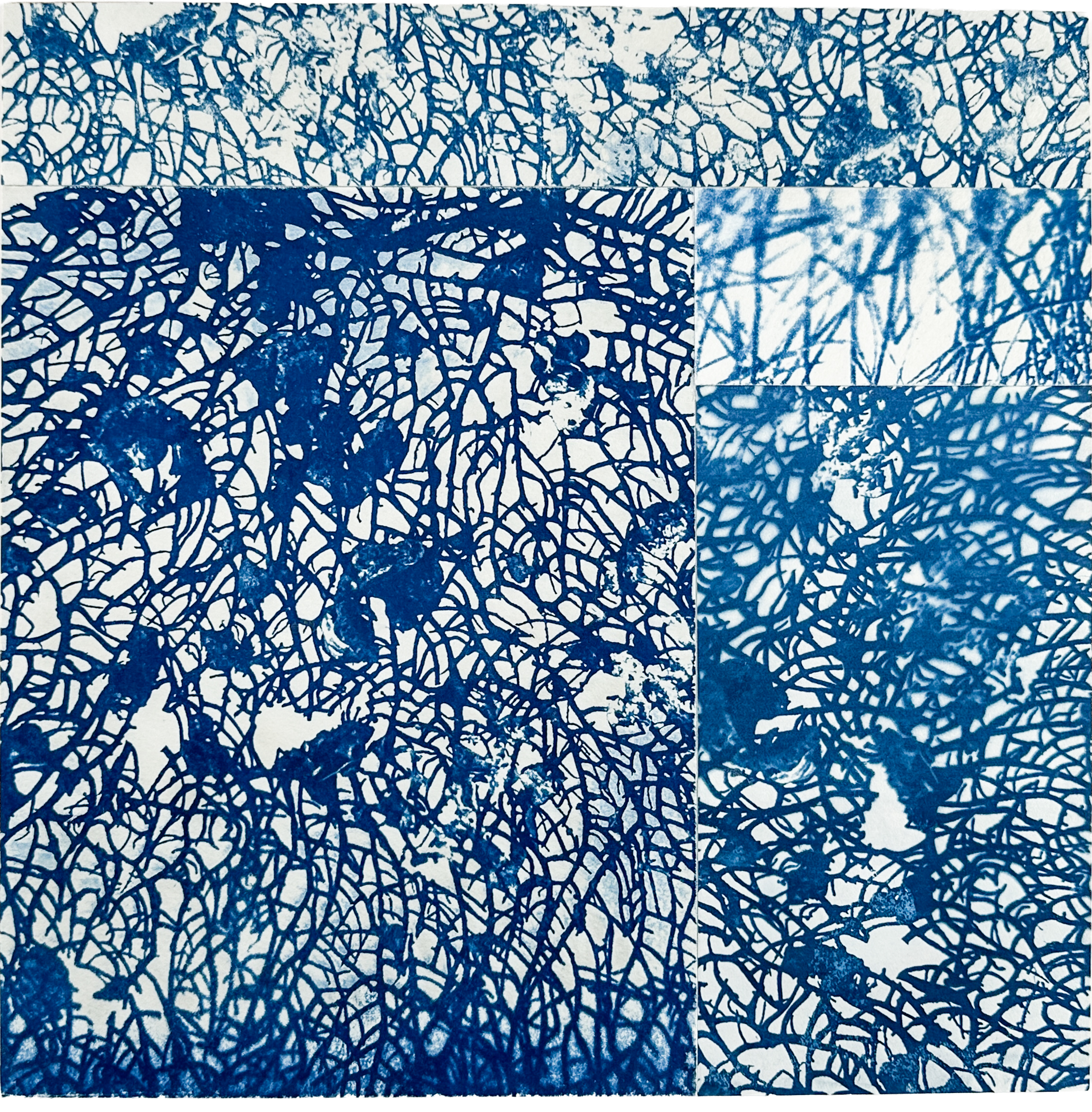 A collection of abstract blue and white splatter and line paintings arranged in a grid pattern.