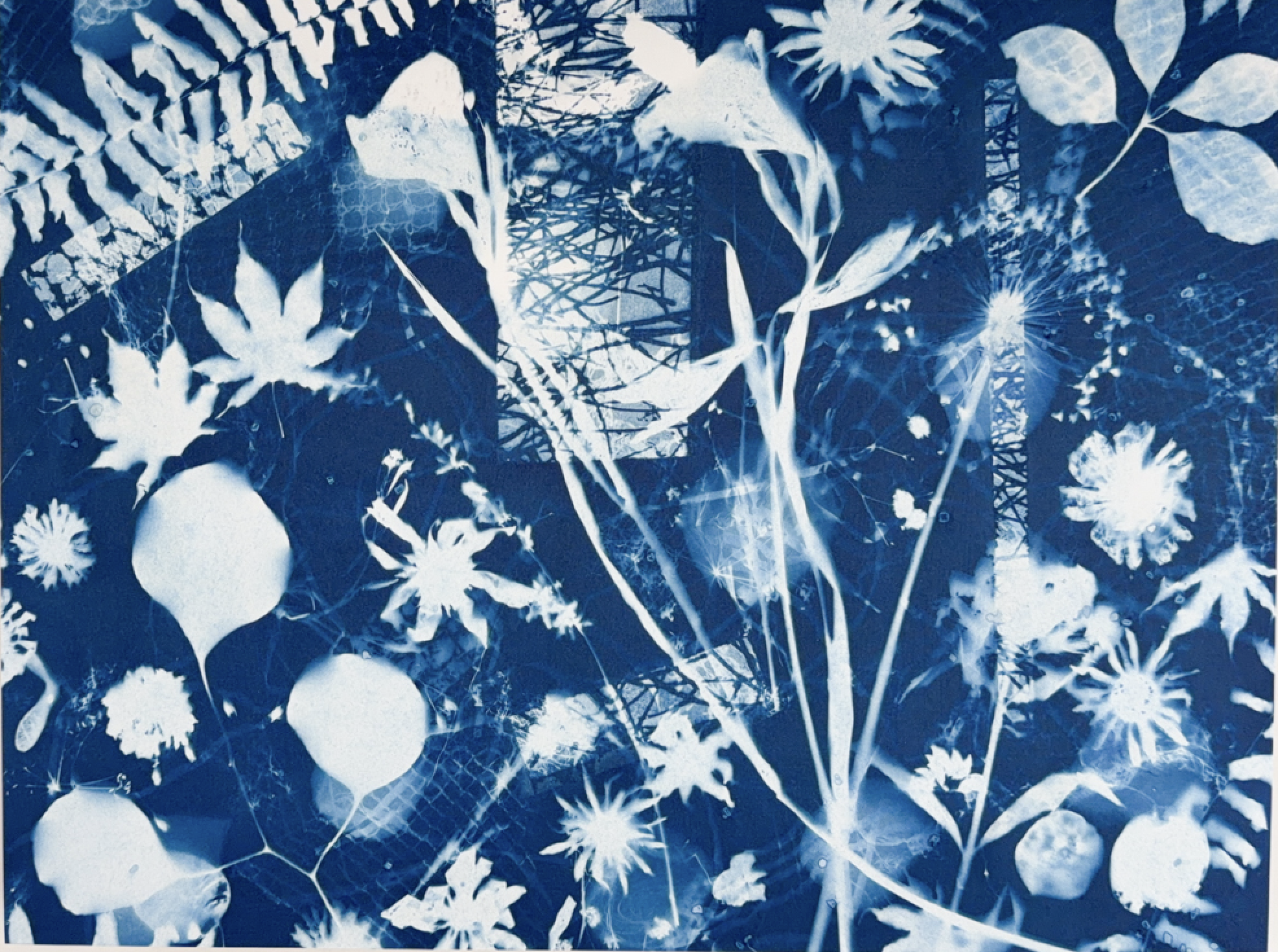 Layered Botanicals