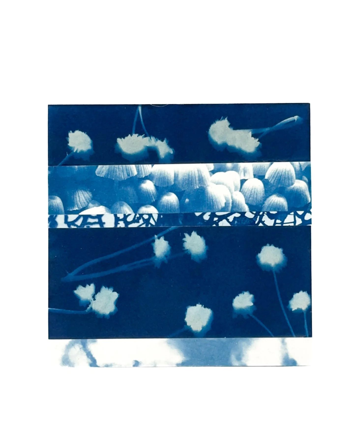 Blue Botanica No. 08