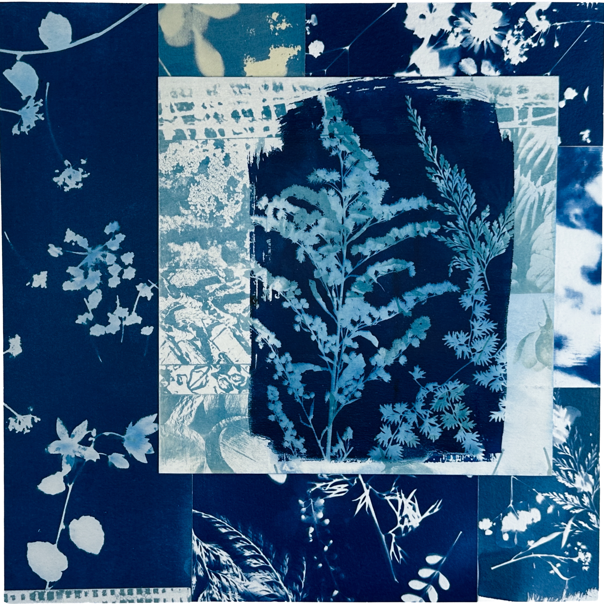 Pattern of white botanical silhouettes and floral designs on a blue background.