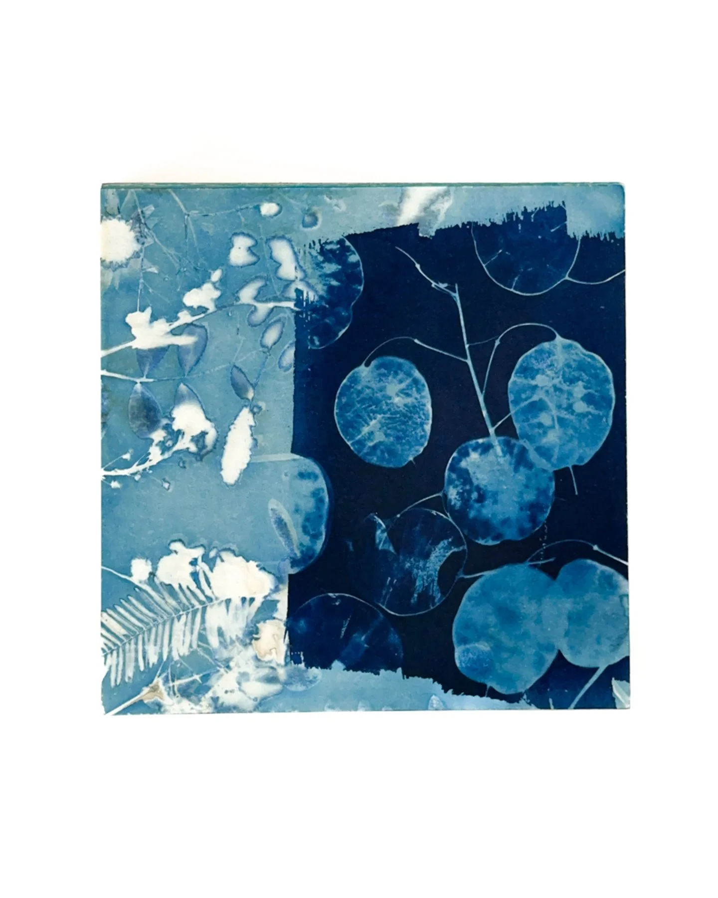 Blue Botanica No. 19