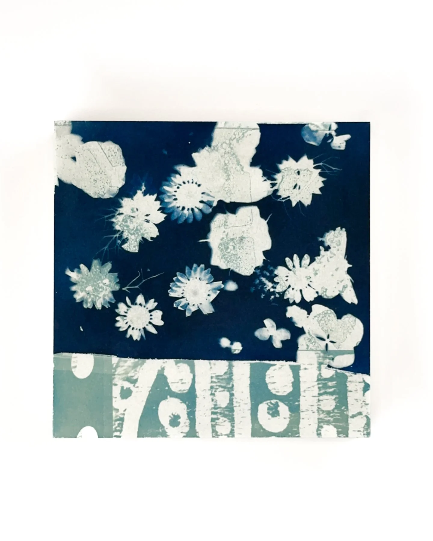 Blue Botanica No. 07