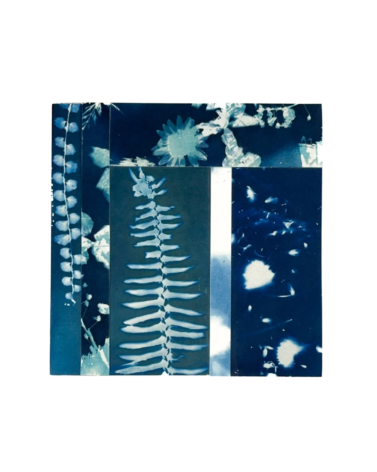 Blue Botanica No. 16