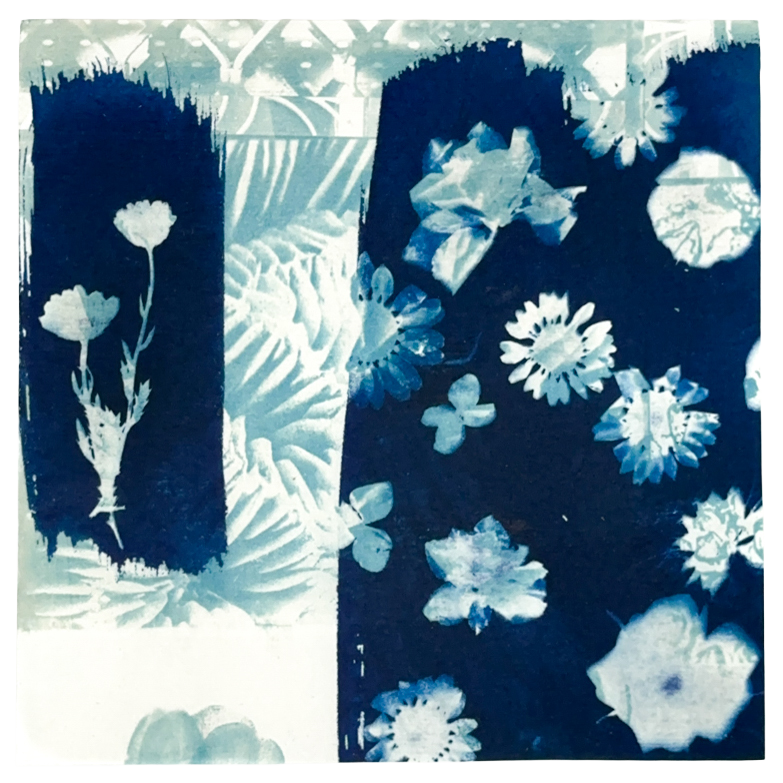 Abstract images of various flowers and plant patterns in shades of blue and white.