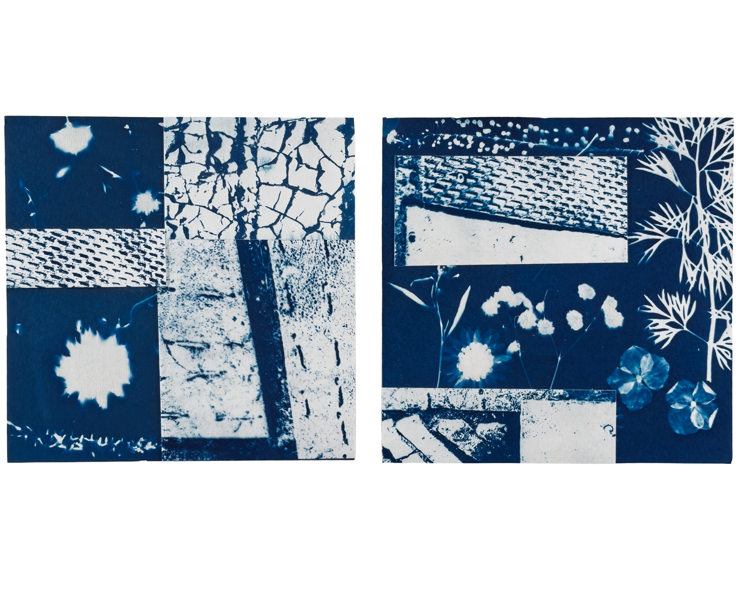 Close-up view of a collage of various nature-themed patterns and textures in blue and white.