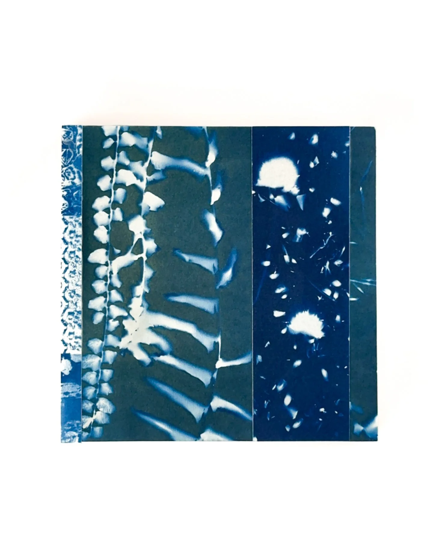 Blue Botanica No. 11