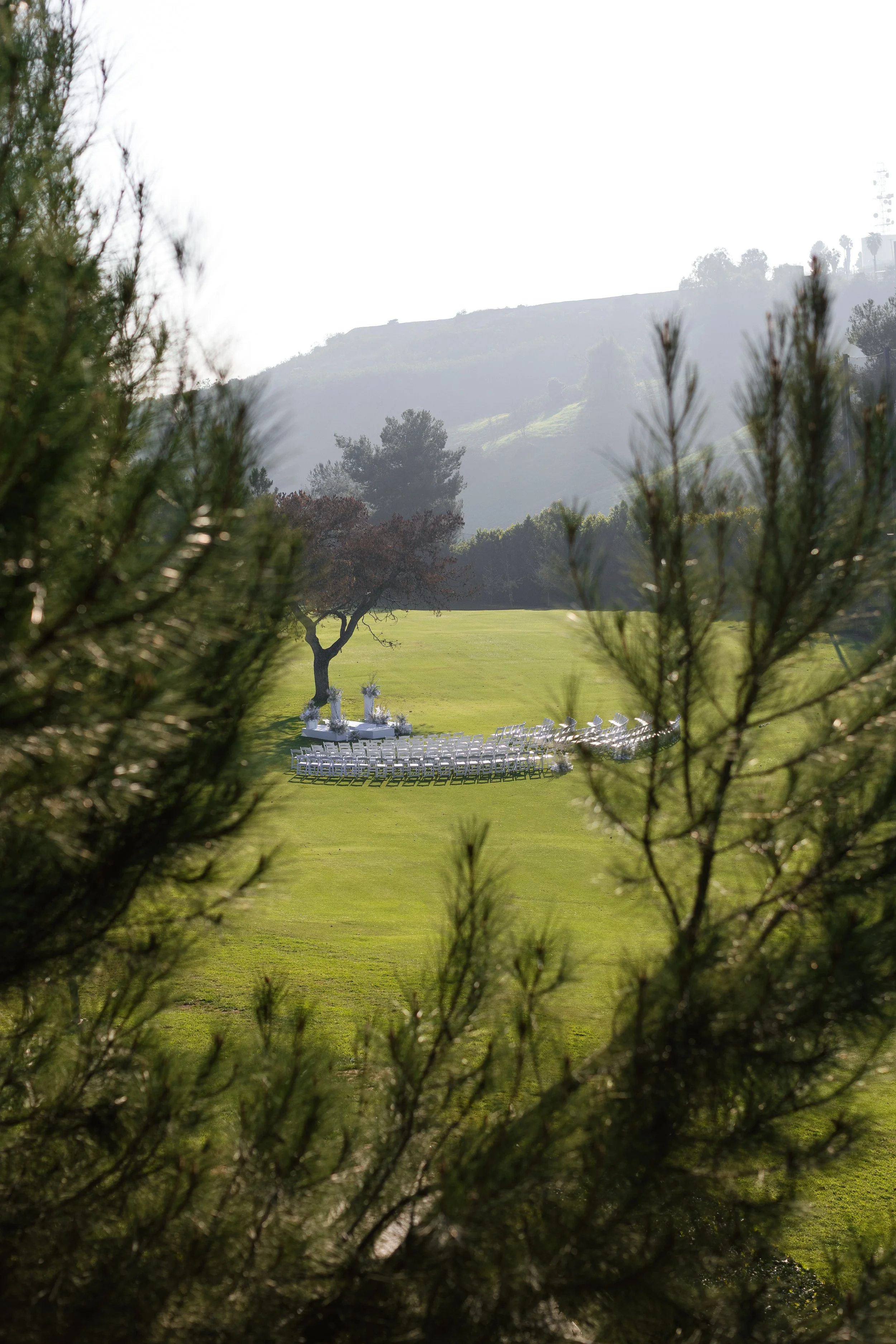 NZ0A7138-Edit.jpg