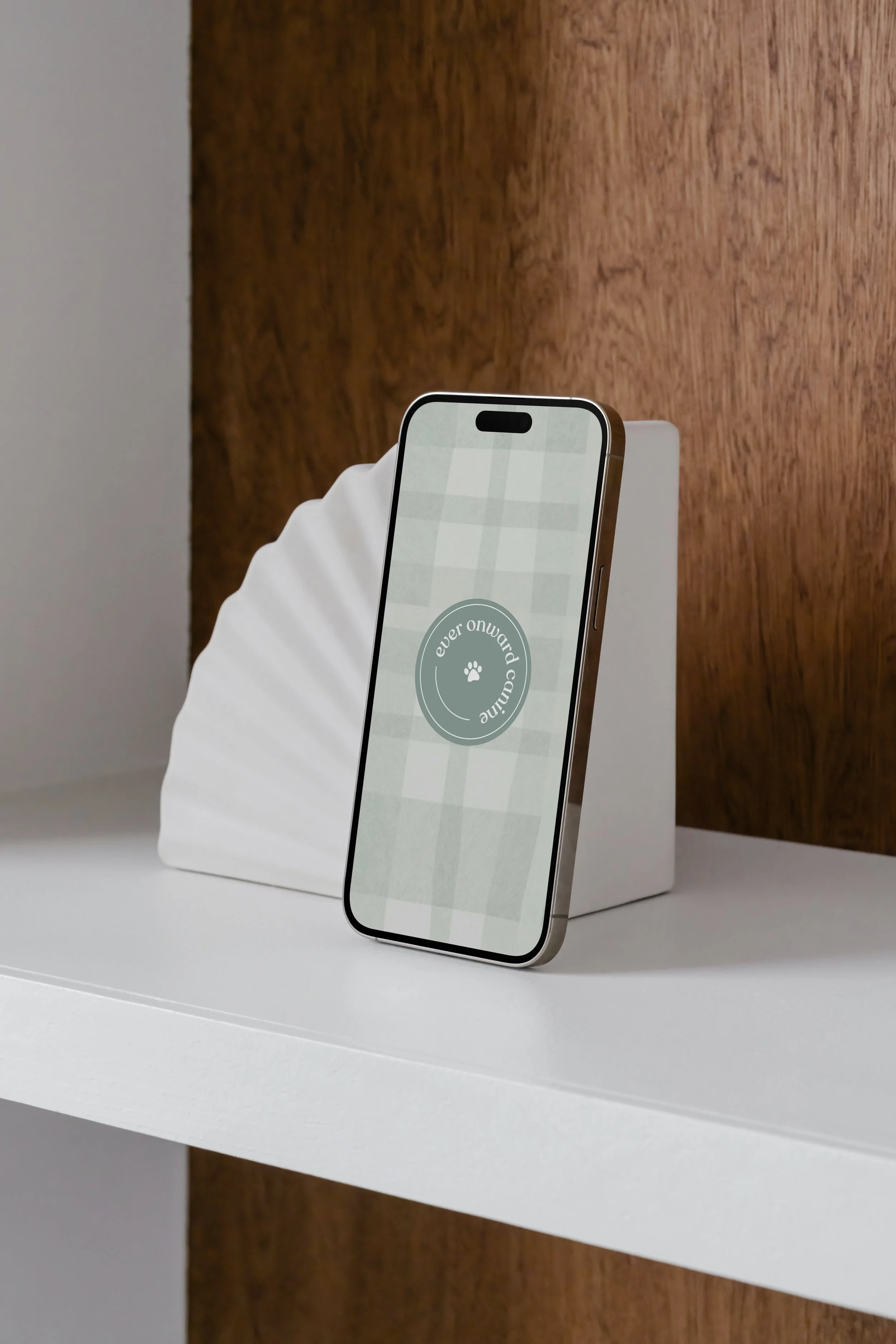 phone.jpg