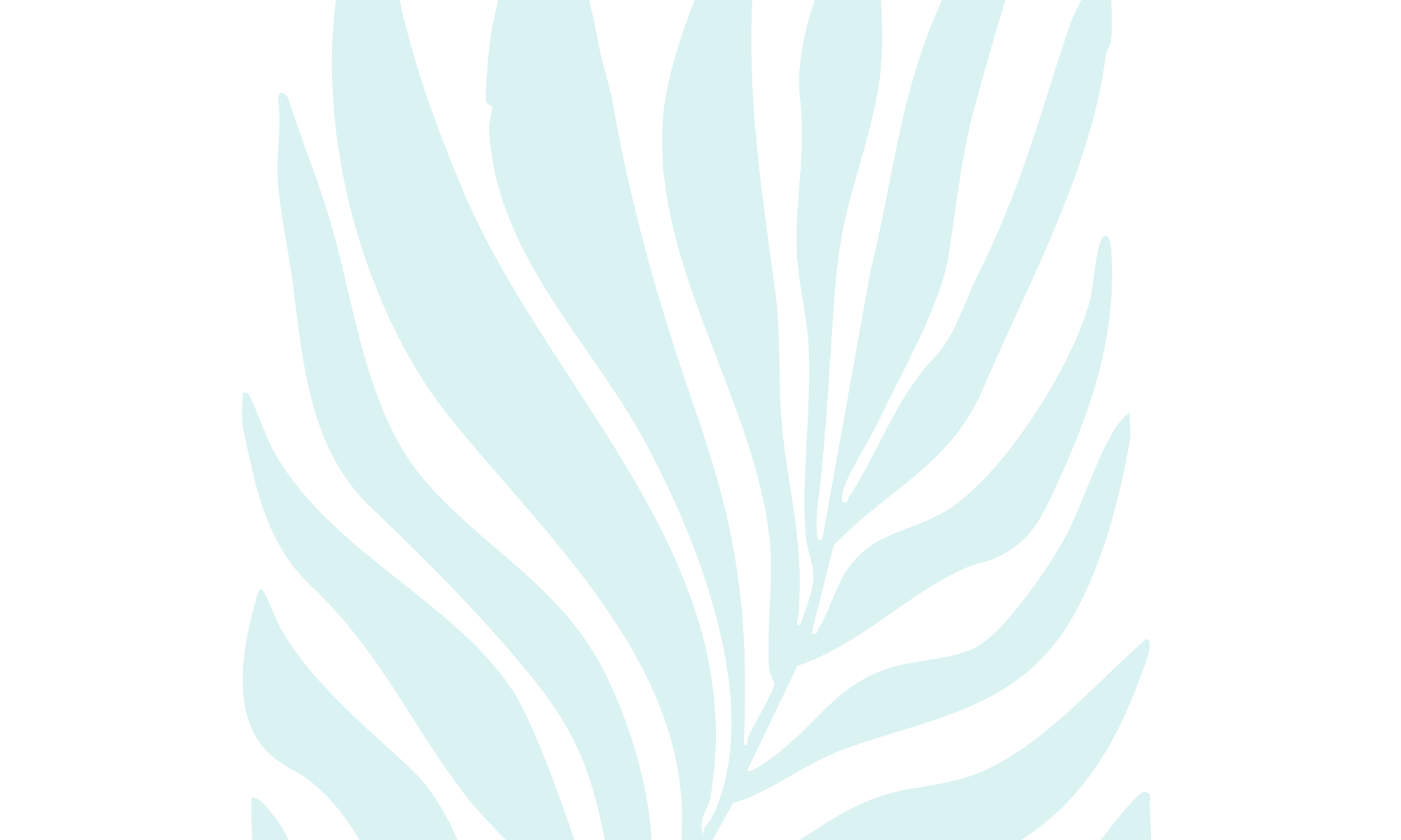 Images_web-01.png
