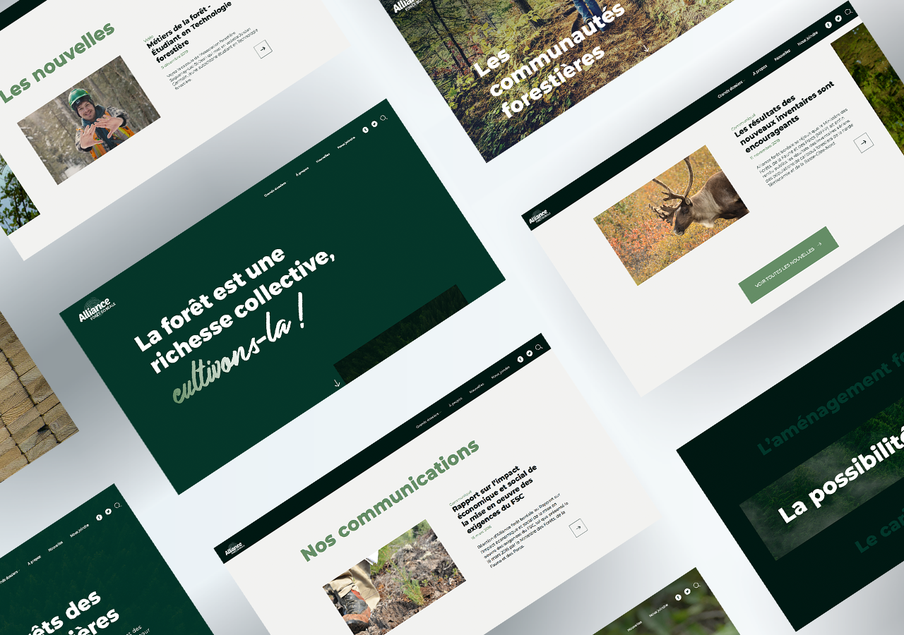 Collection de maquettes de pages web sur la forêt, mettant en avant la biodiversité, la conservation, les communautés forestières et la gestion forestière durable, avec un design épuré et des éléments visuels liés à la nature.