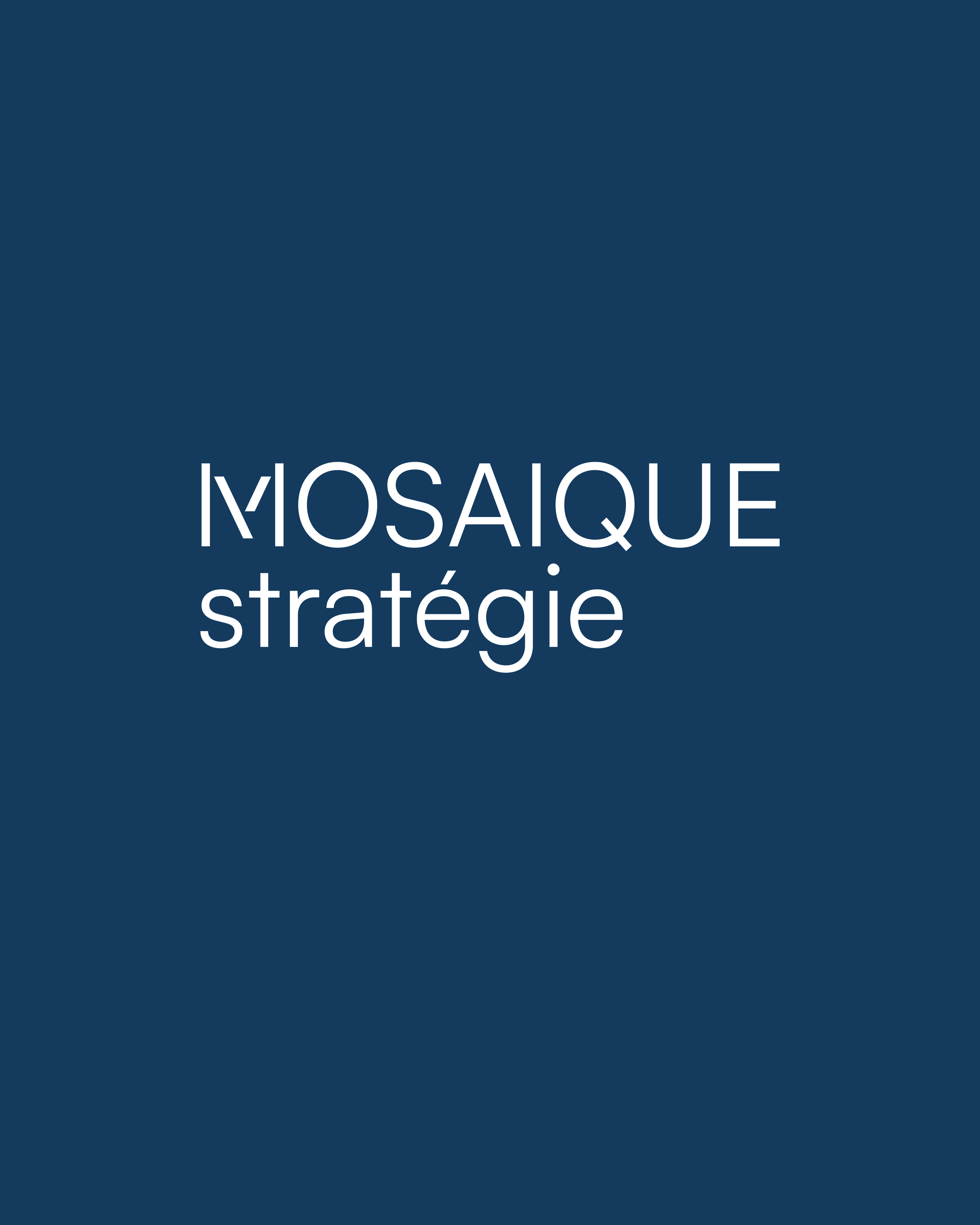MOSAIQUE STRATÉGIE