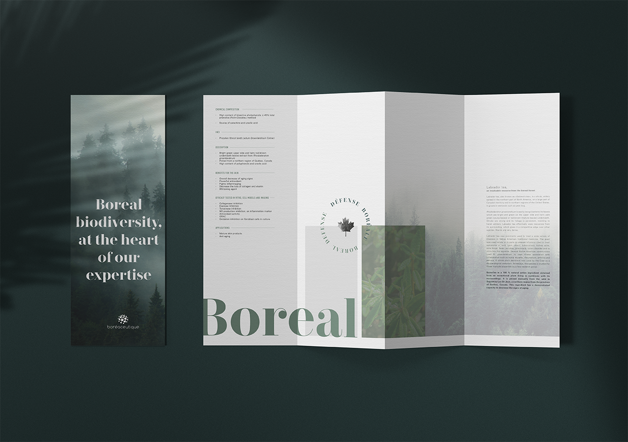 flyer ou brochure sur la biodiversité boréale et les plantes boréales, avec texte explicatif et images naturelles arbustives et forestières.