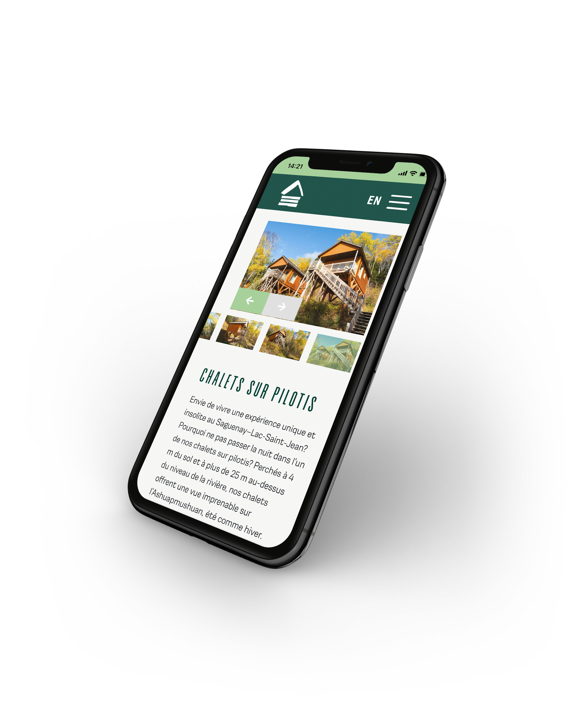 web-mobile_1.png