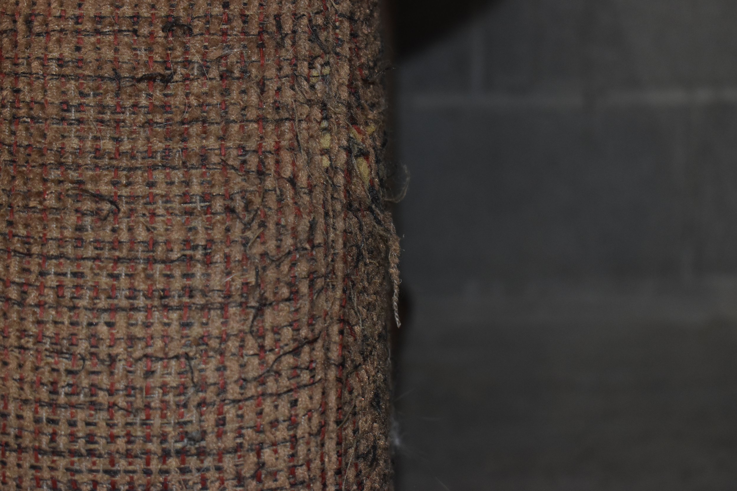 DSC_0143.jpeg