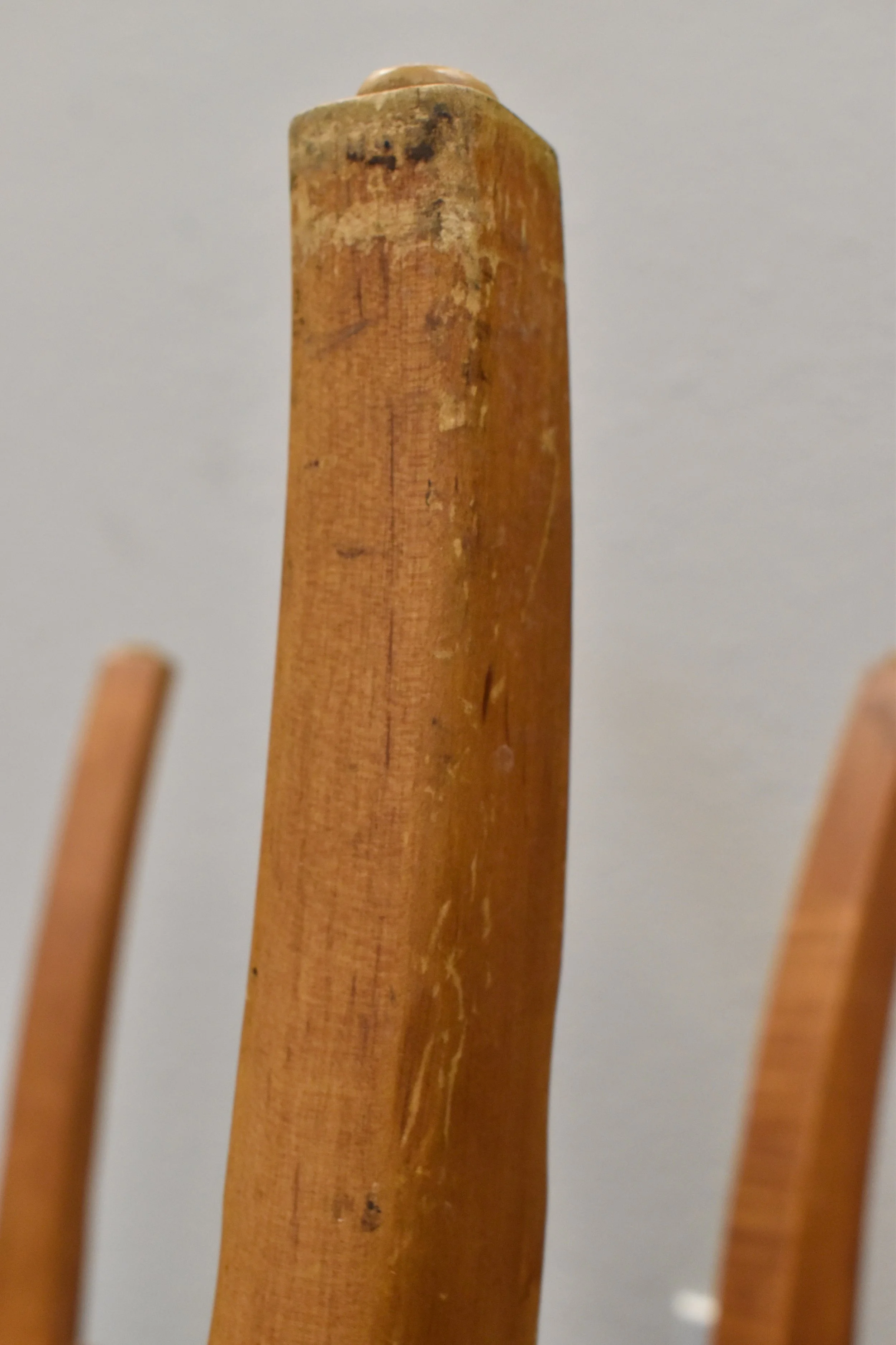 DSC_0495.JPG