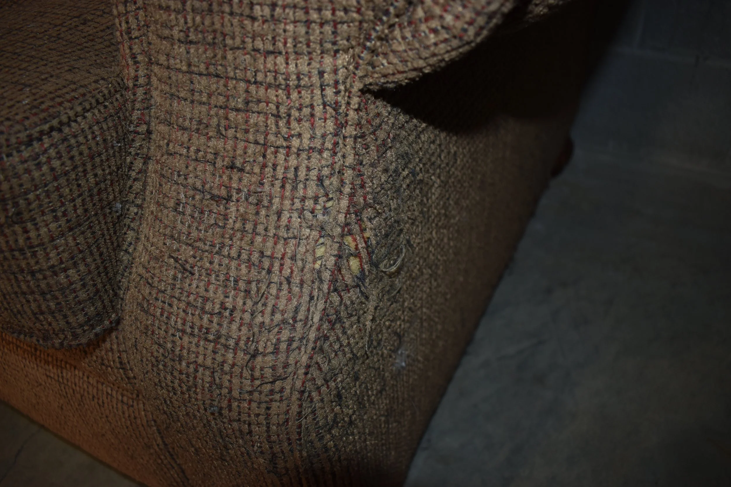 DSC_0142.jpeg