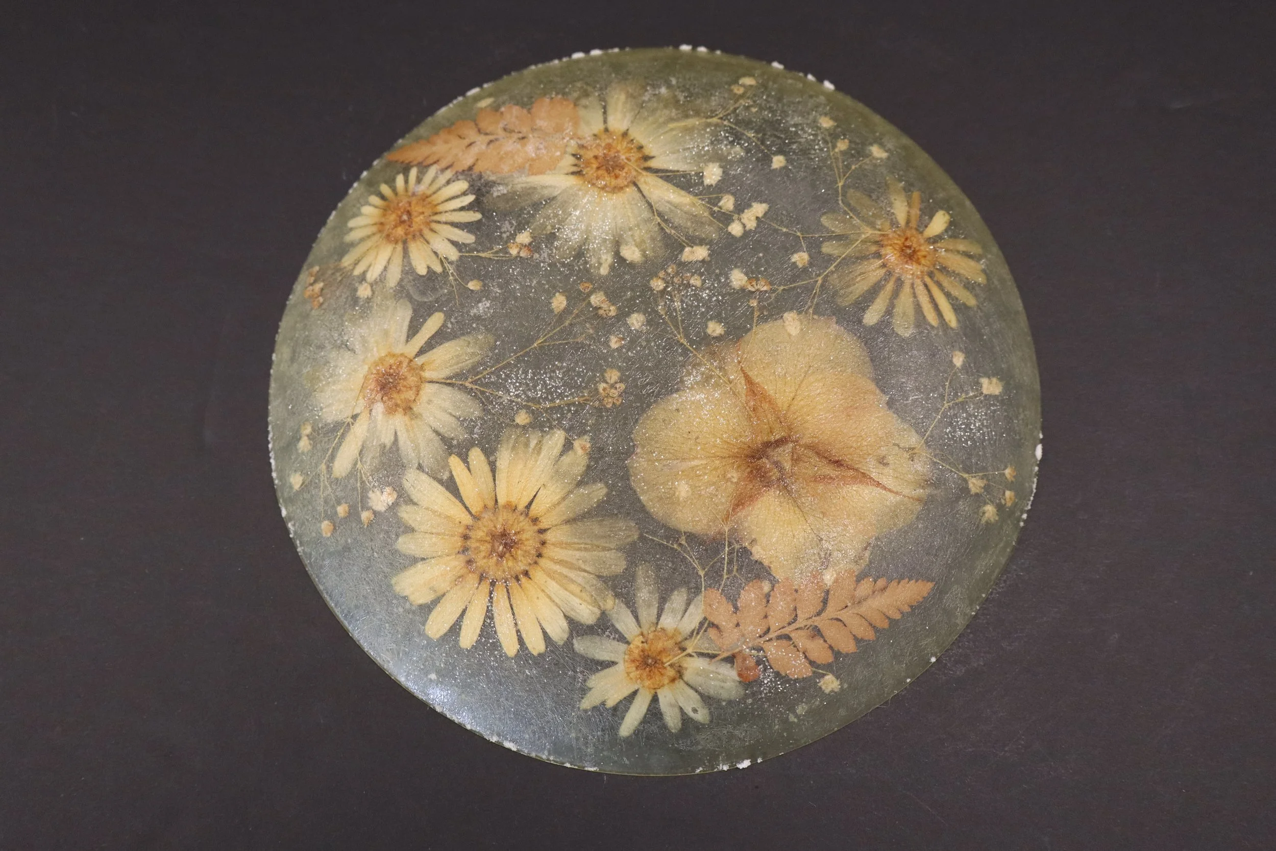 Vintage Acrylic Resin Lucite Trivet Flowers Designs Spring, rare, collectible, classic, vtg, ceramic, kitchenware, mcm