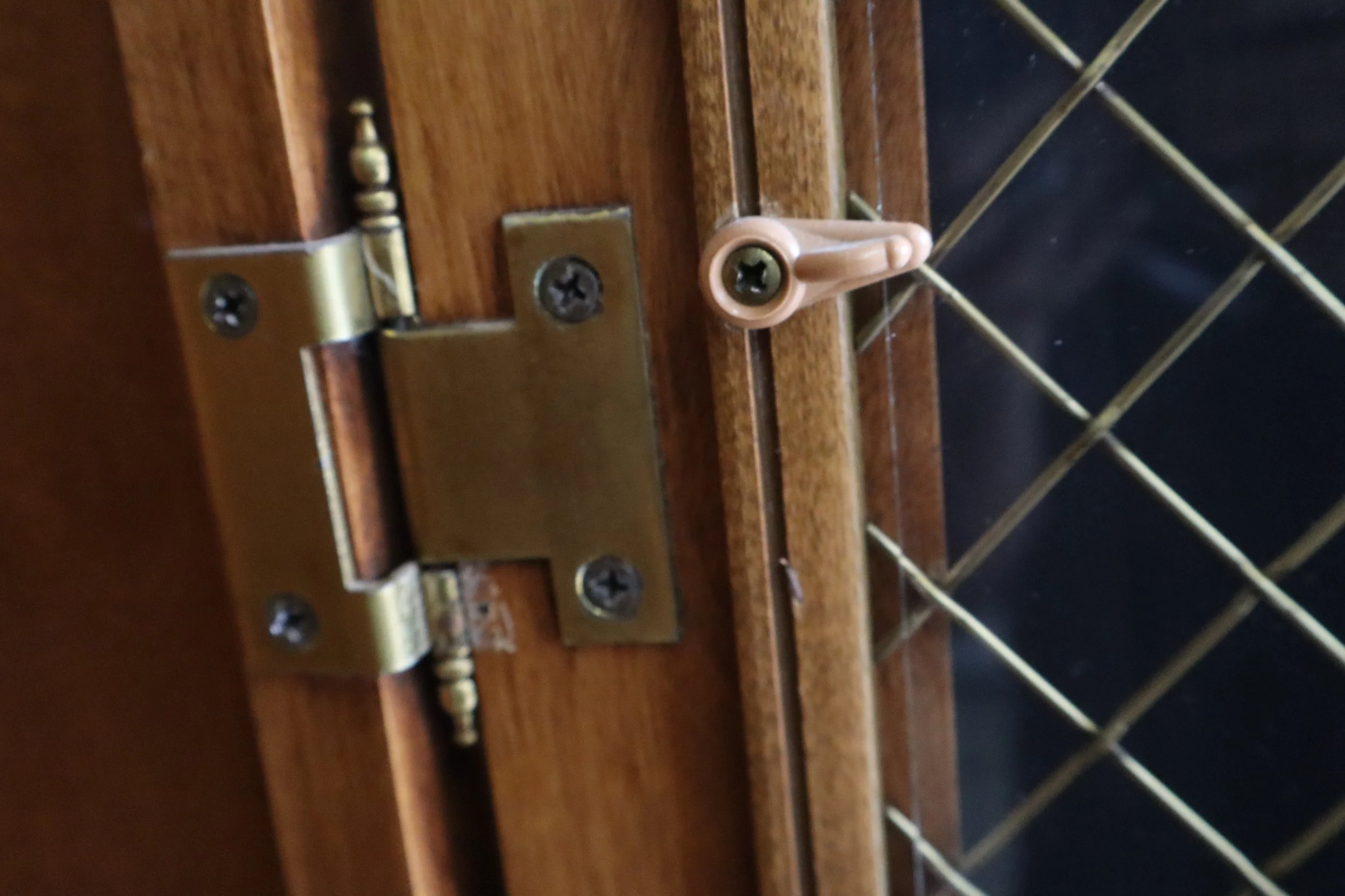 IMG_7999.jpeg