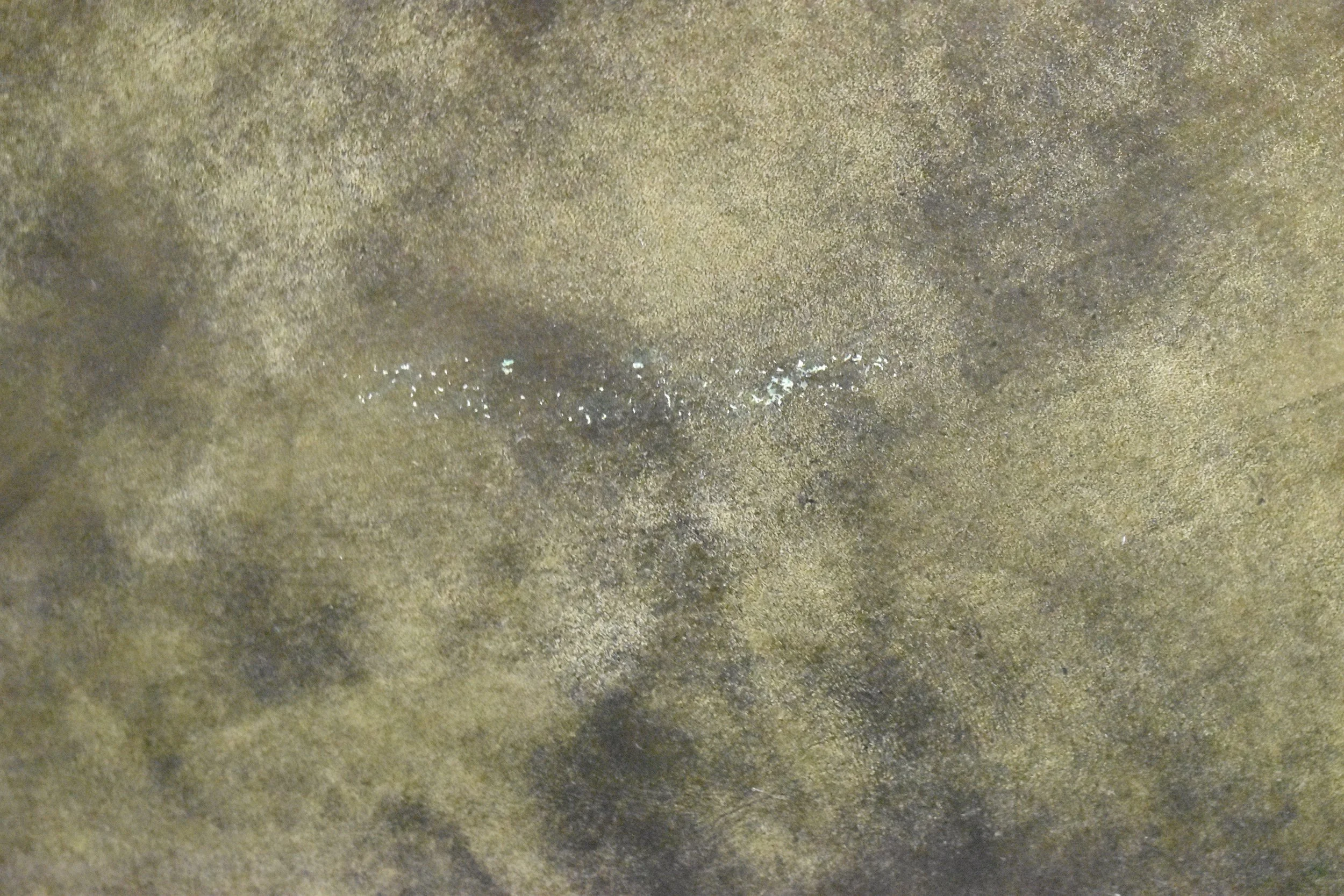 DSC_0722.JPG