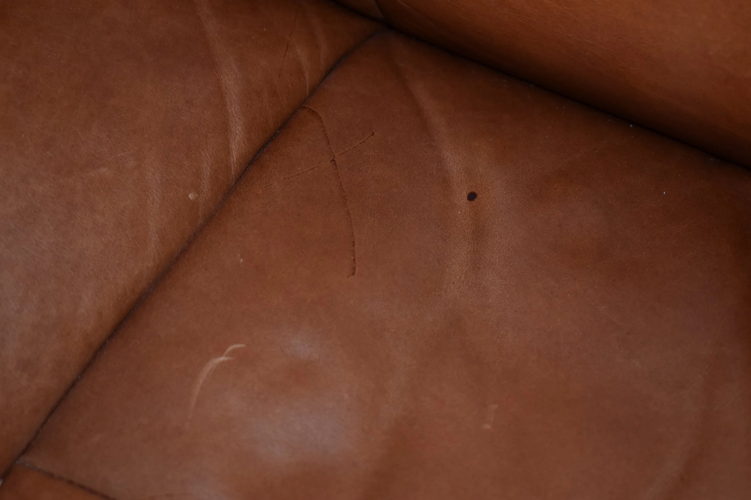 DSC_0039.jpeg