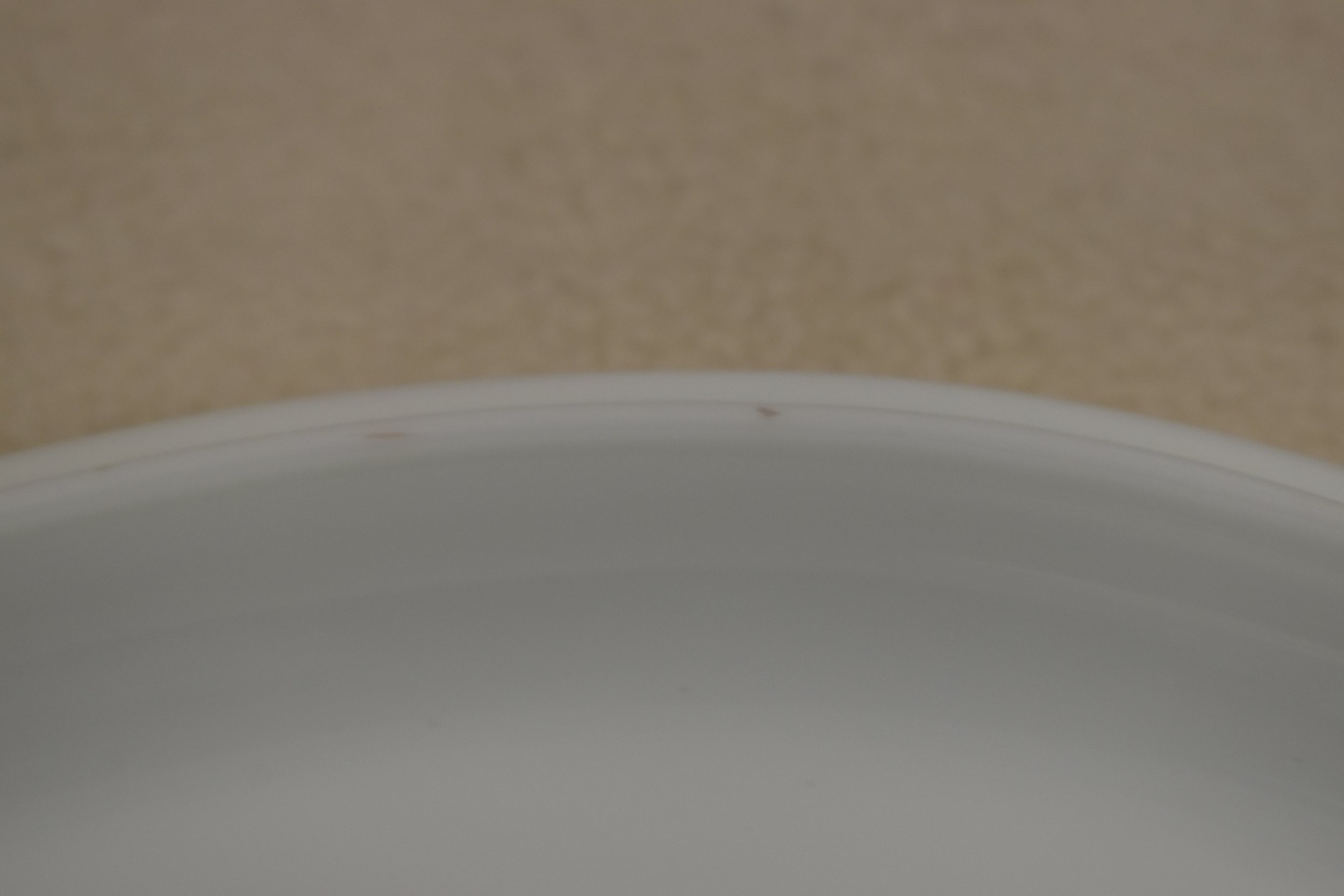 DSC_0766.JPG