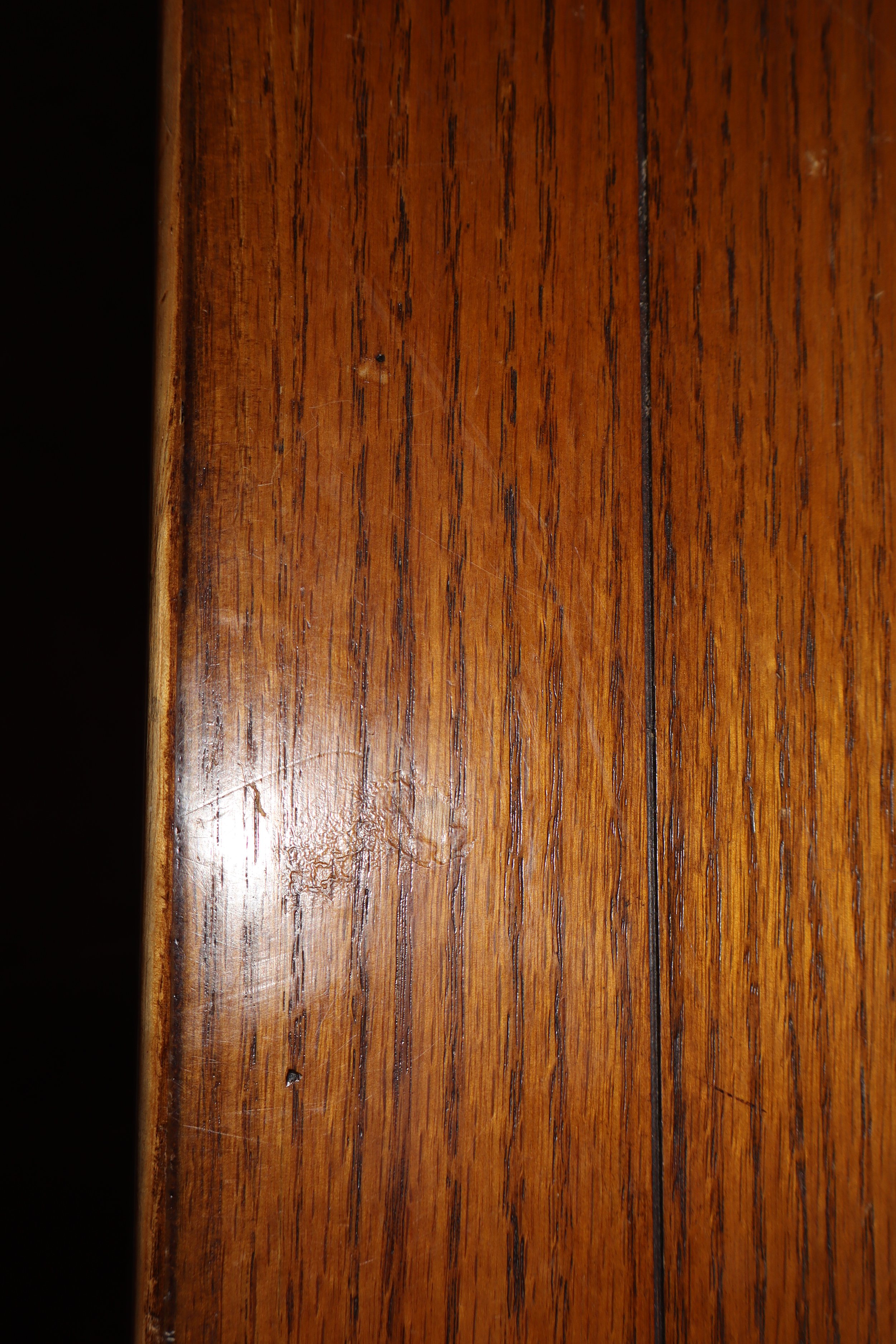 IMG_6649.jpeg