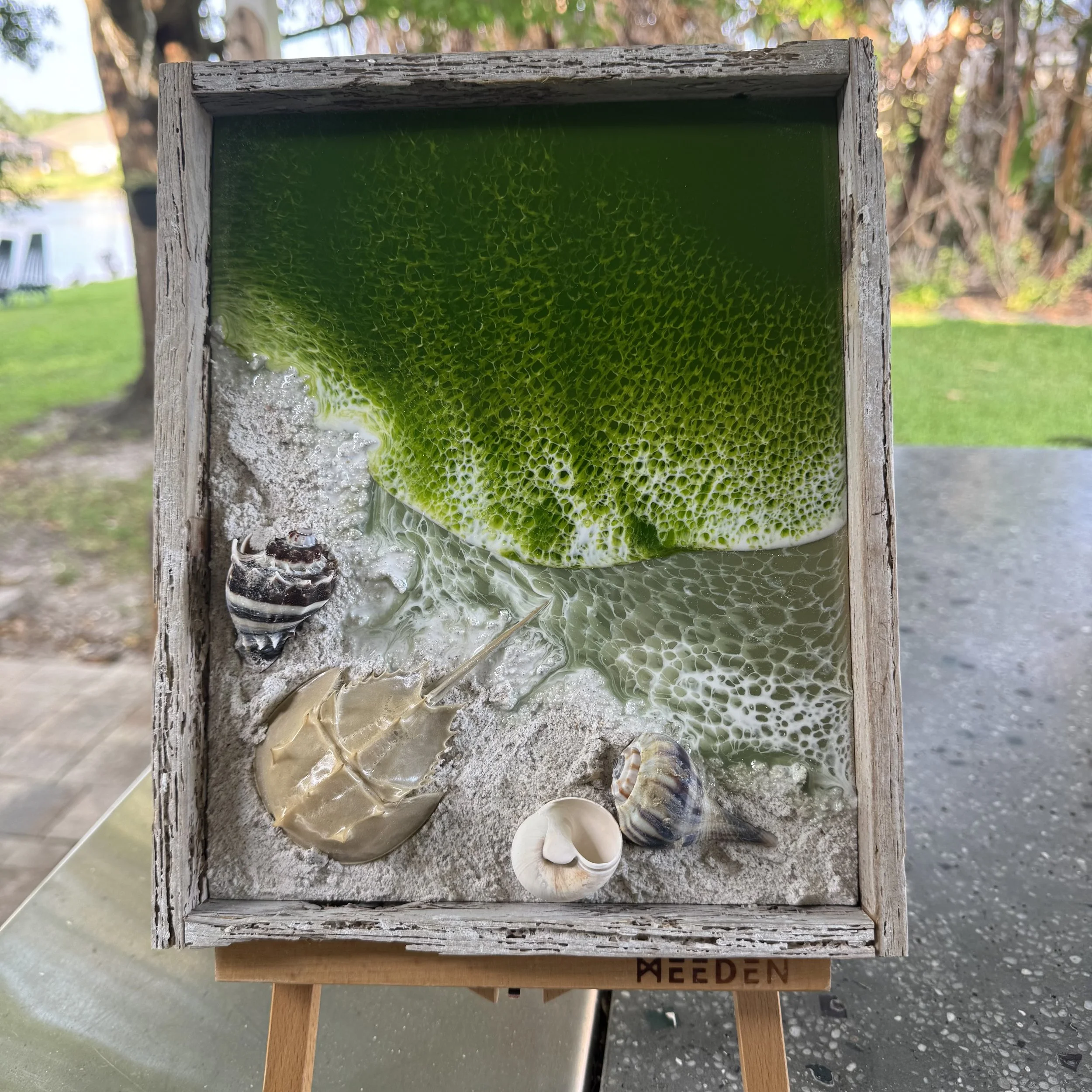 #803 8x 10 in