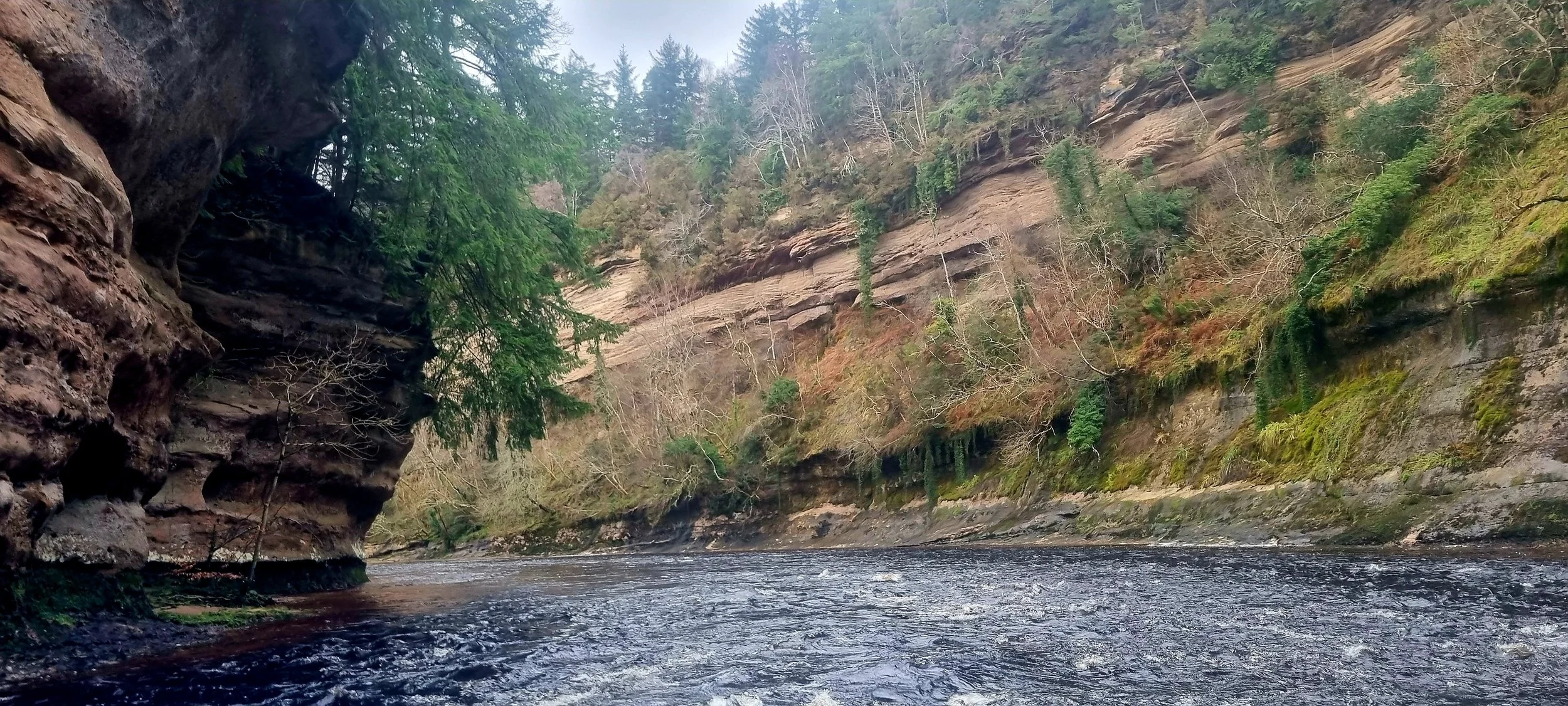 A river flowing through a canyon with steep, rocky walls covered in trees and vegetation.