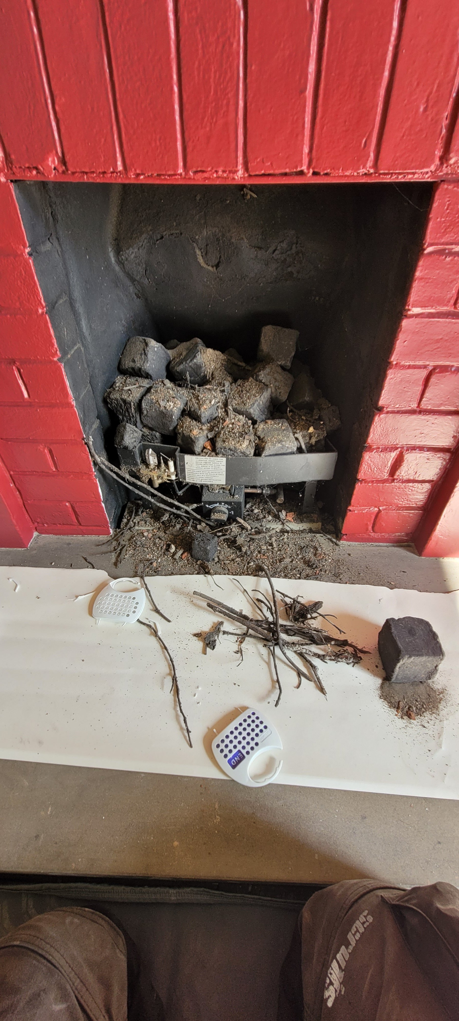 Debris from a birds nest