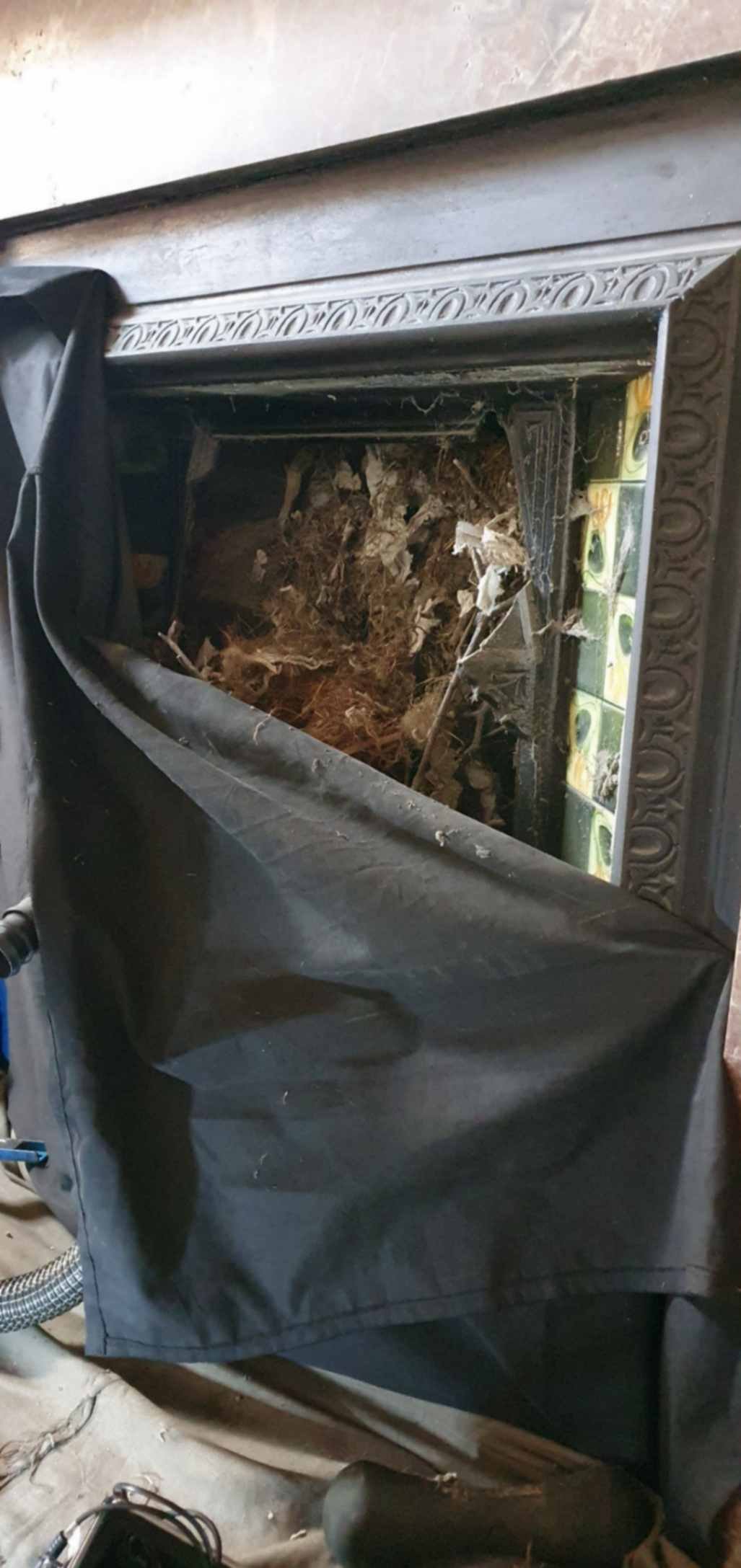 A large nest being removed form a chimney in Sunderland