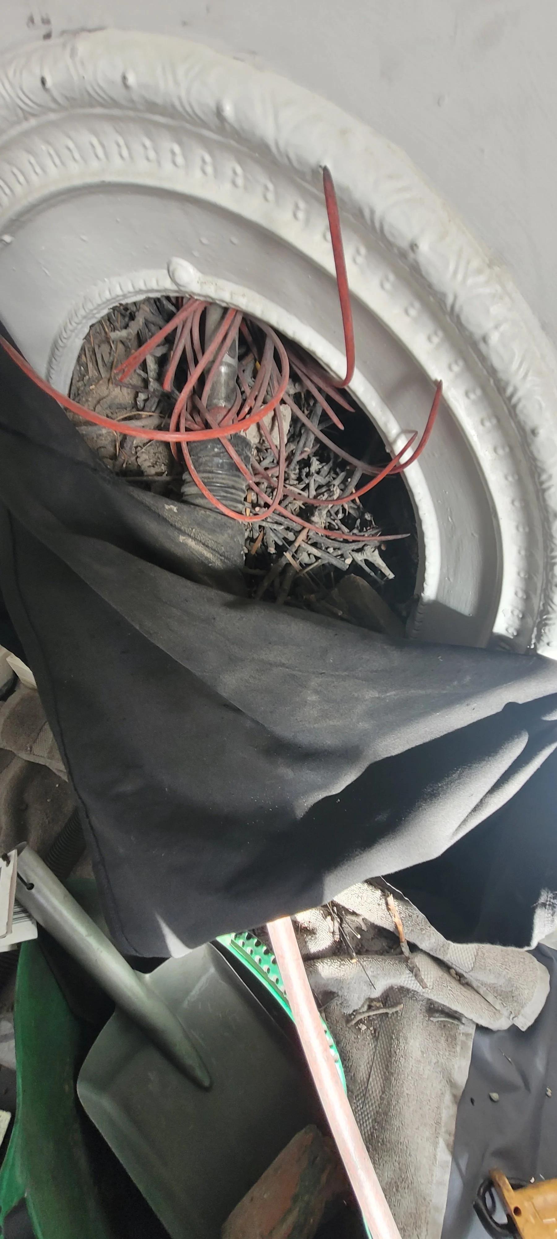 Birds nest being removed from a flue